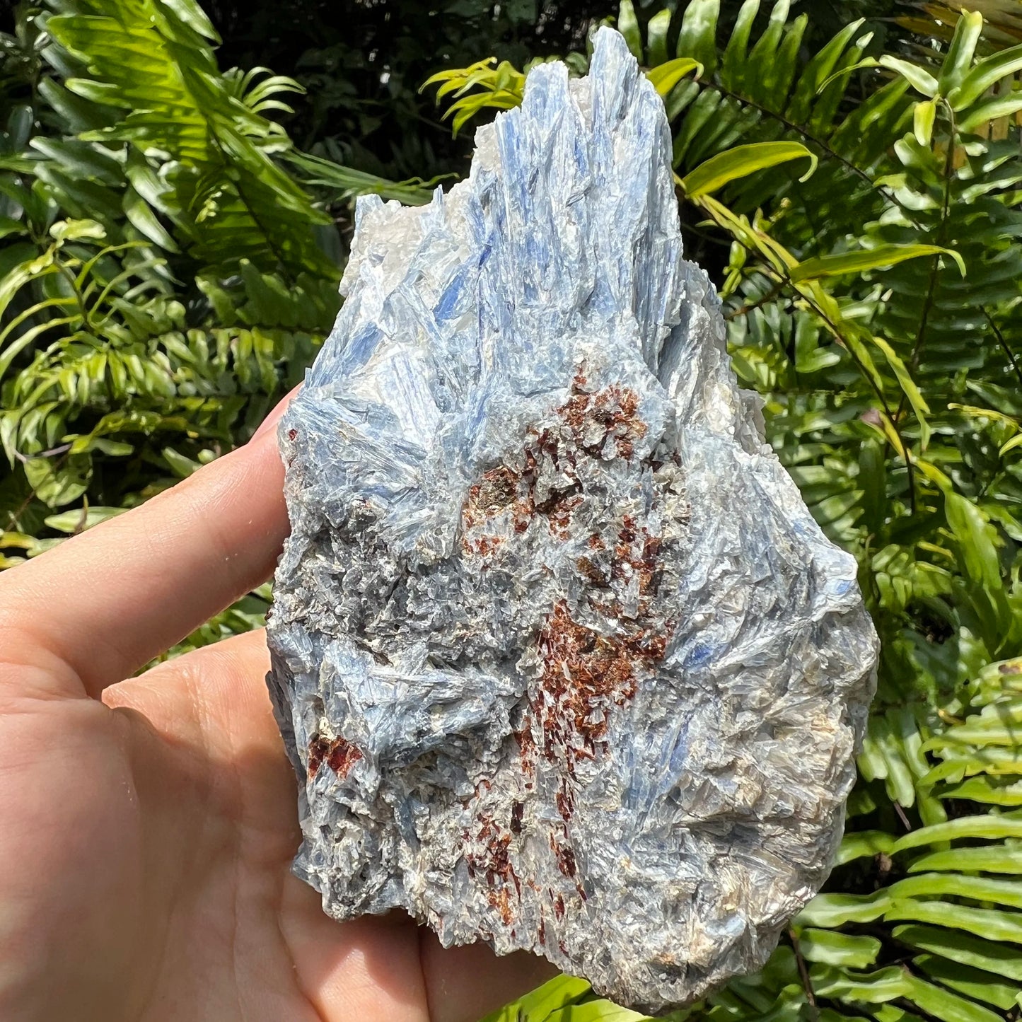 Detail shot of Grade AA Blue Kyanite cluster under natural light