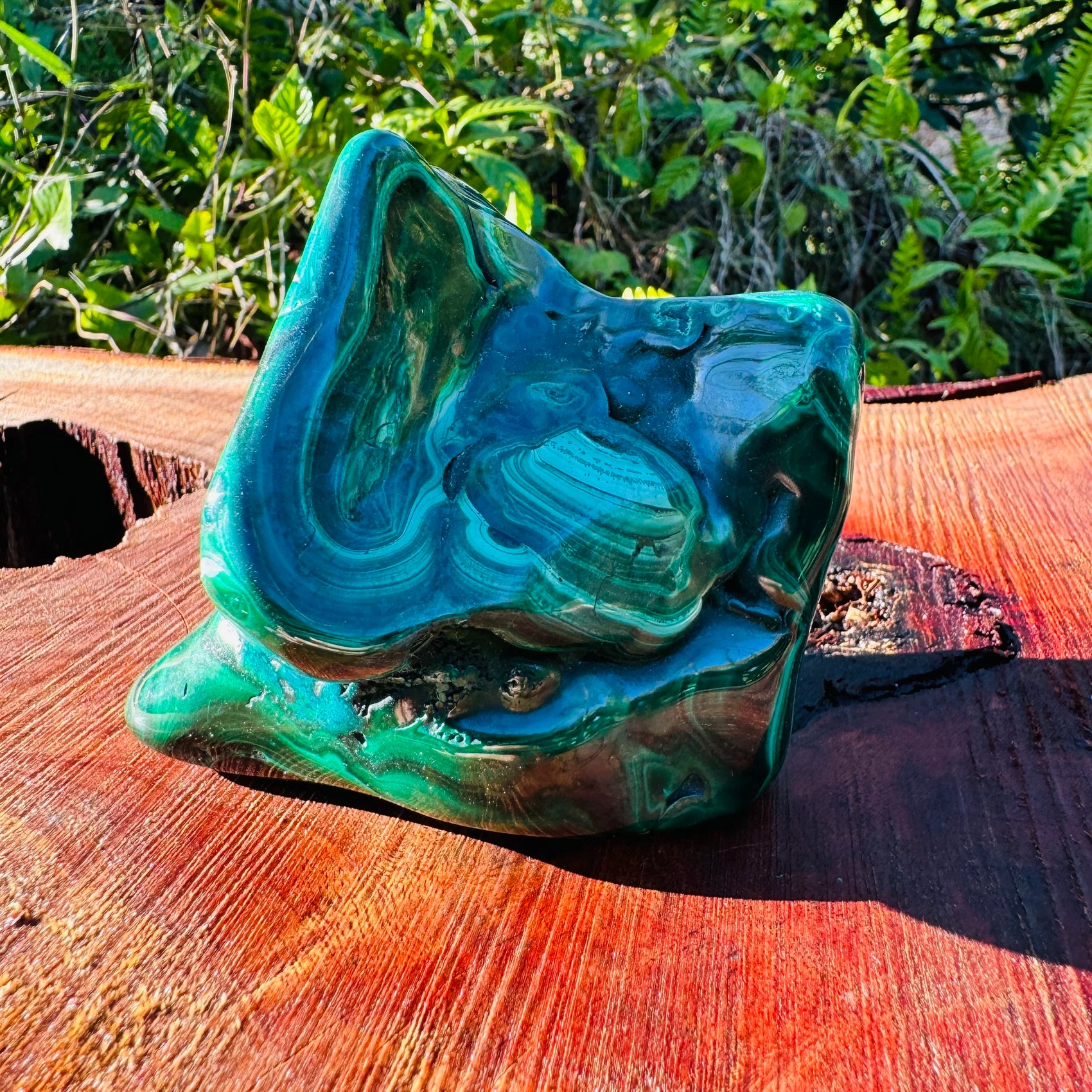 Back view of Grade AA Malachite specimen showing natural surface