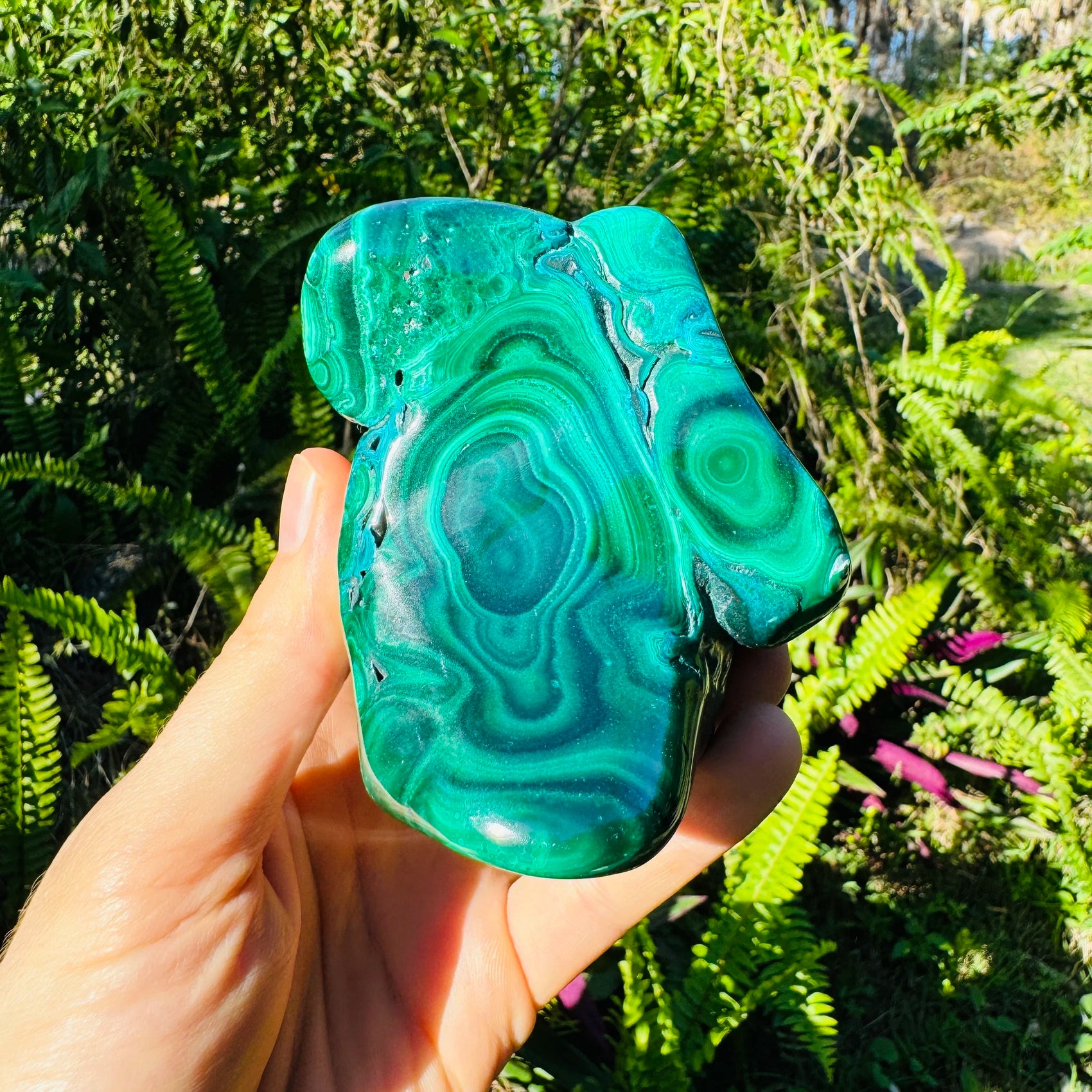 Natural light view of one Malachite specimen for scale, from Democratic Republic of the Congo.