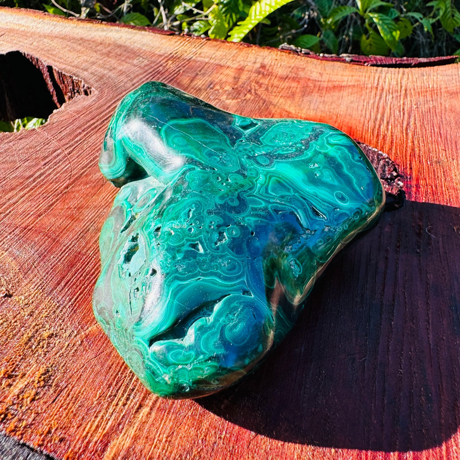 Full profile of Grade AA Malachite specimen ready to ship from Beyond Bohemian