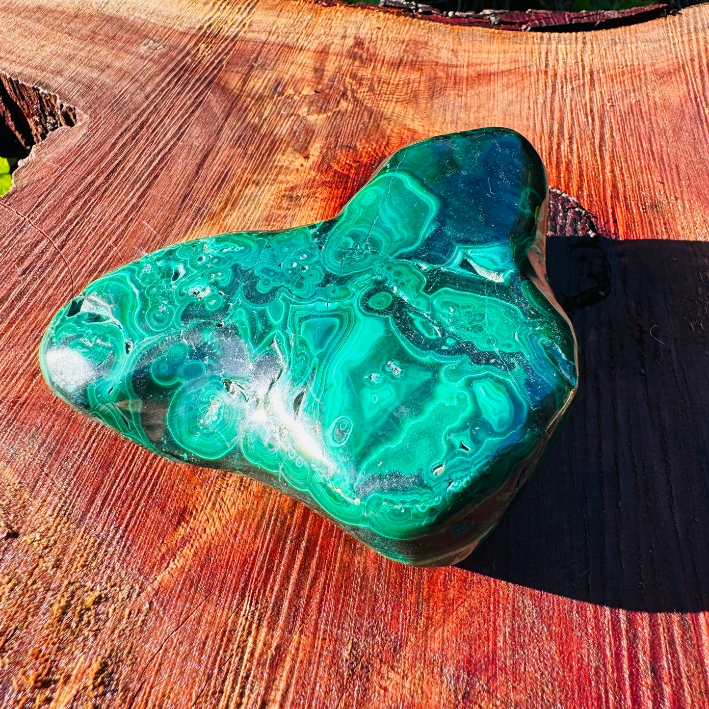 Back view of Grade AA Malachite specimen showing natural surface