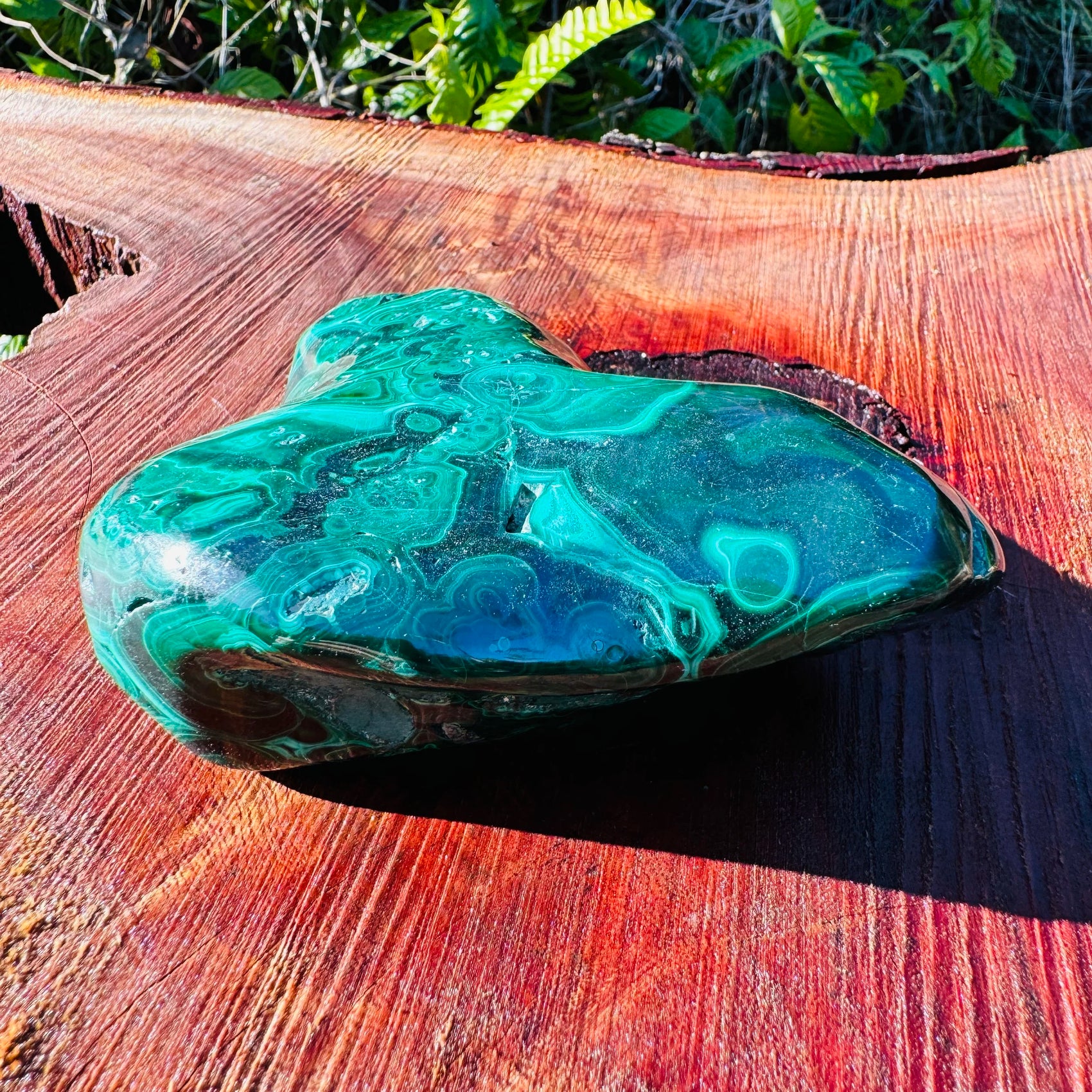 Palm-scale view of one Malachite specimen for scale, sourced from Haut-Katanga, Democratic Republic of the Congo.