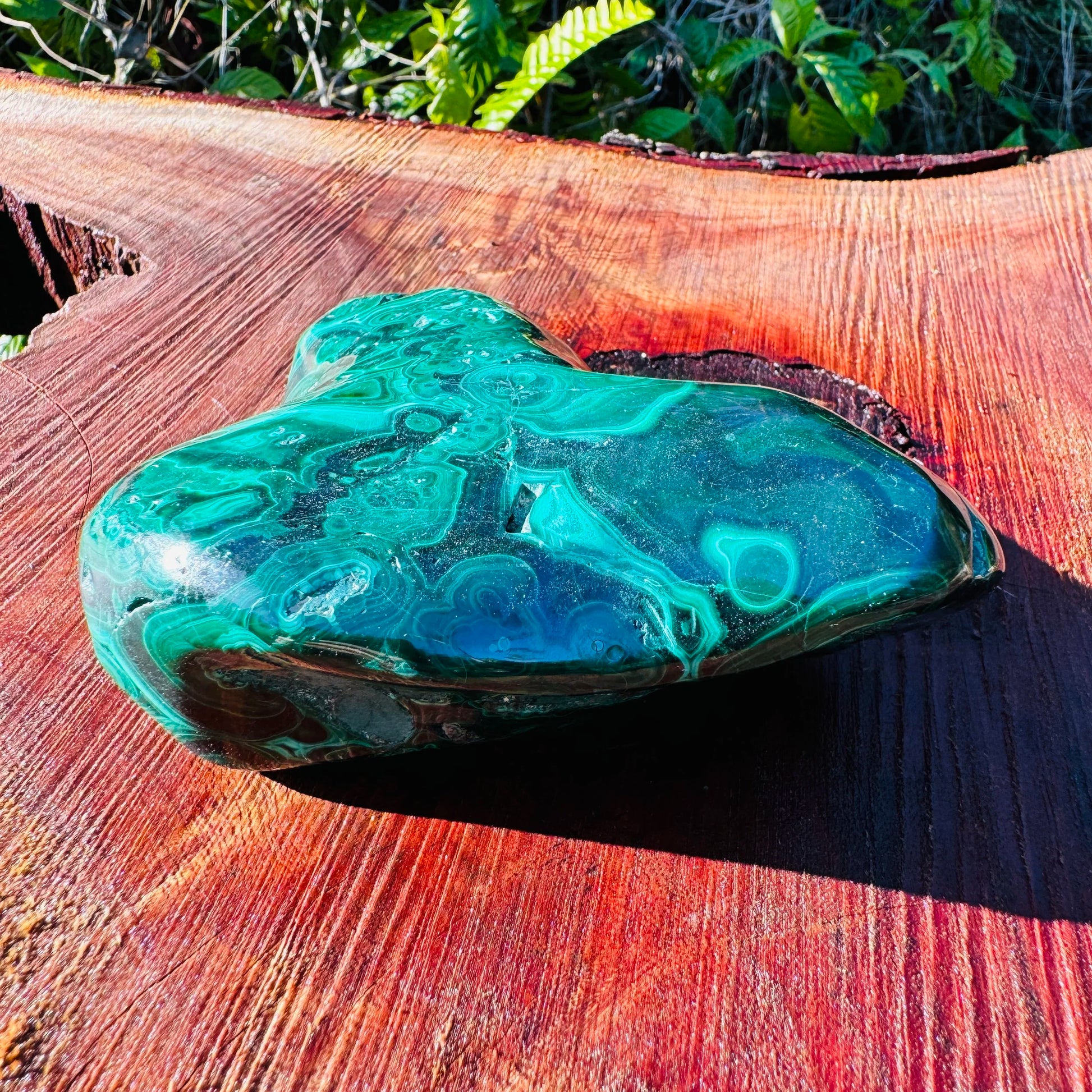 Palm-scale view of one Malachite specimen for scale, sourced from Haut-Katanga, Democratic Republic of the Congo.