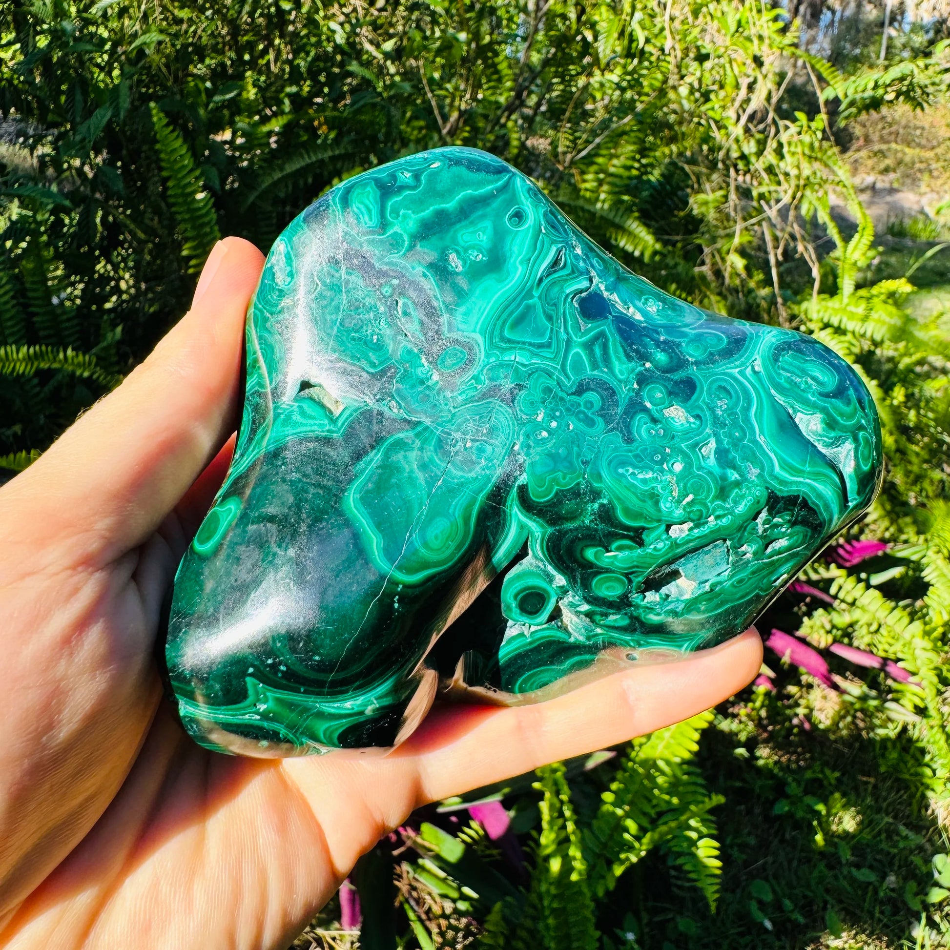 Back view of Malachite specimen, showing characteristic color.