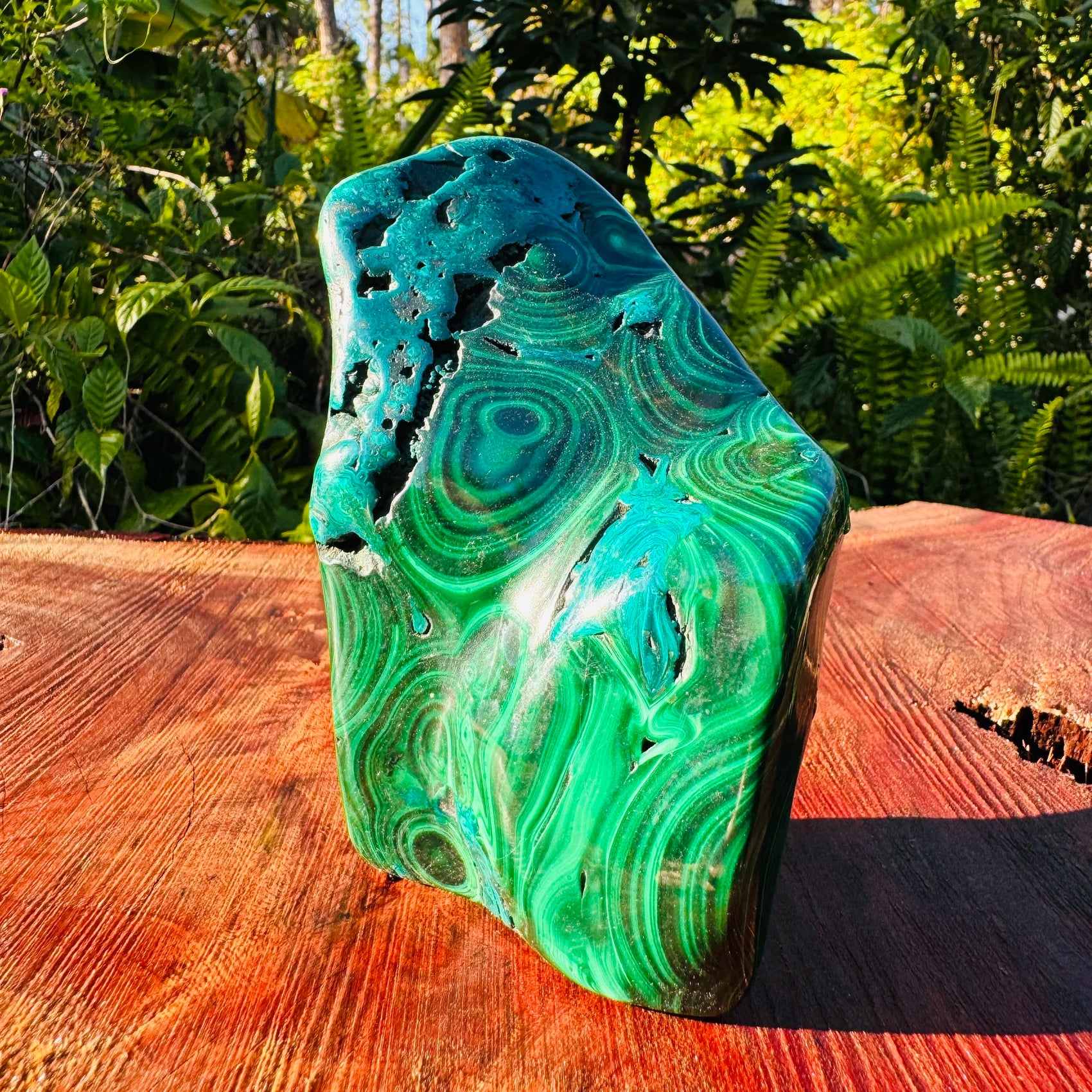 Back view of Grade AA Malachite specimen showing natural surface