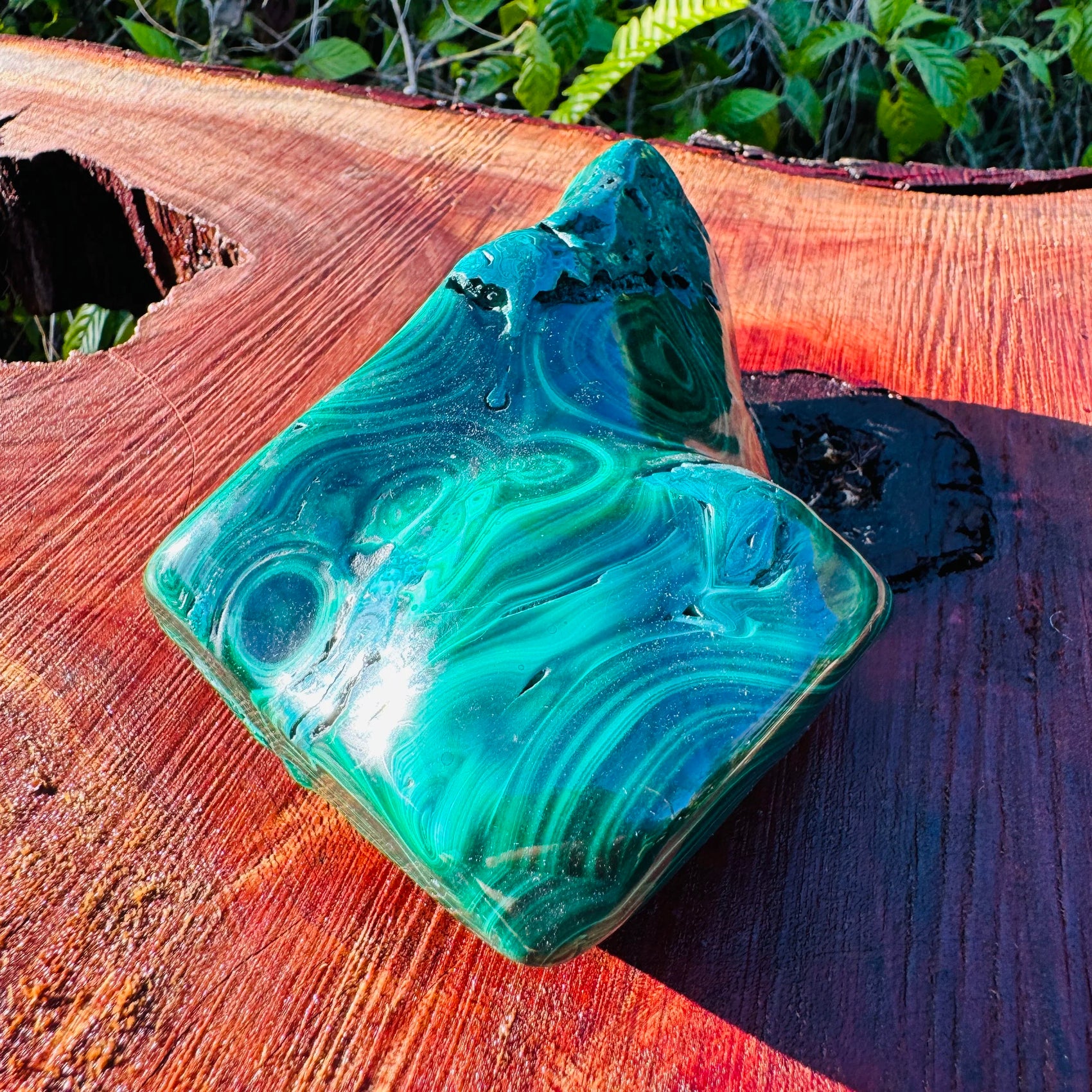 Hand-scale shot of a single Malachite specimen from Haut-Katanga, Democratic Republic of the Congo.