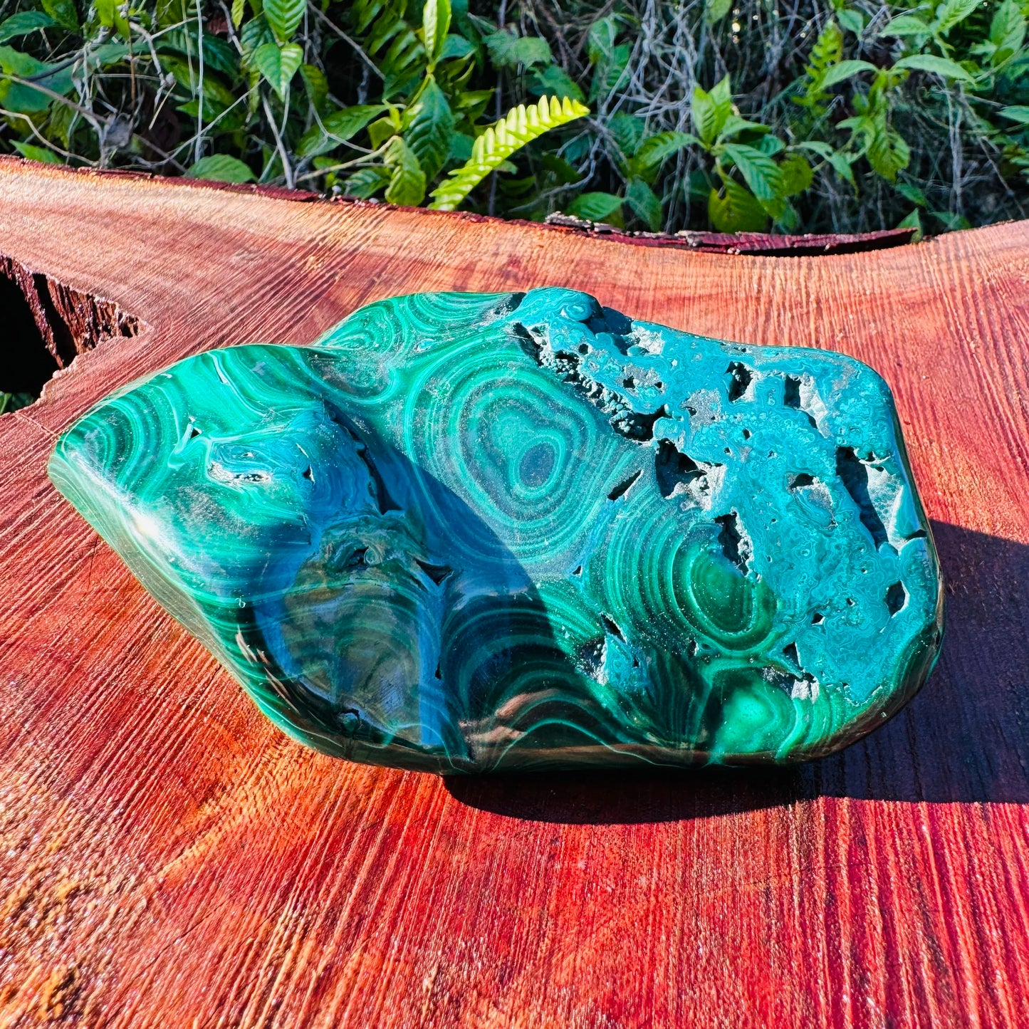 Daylight detail of Malachite specimen, from Haut-Katanga, Democratic Republic of the Congo, showing the piece in repose.