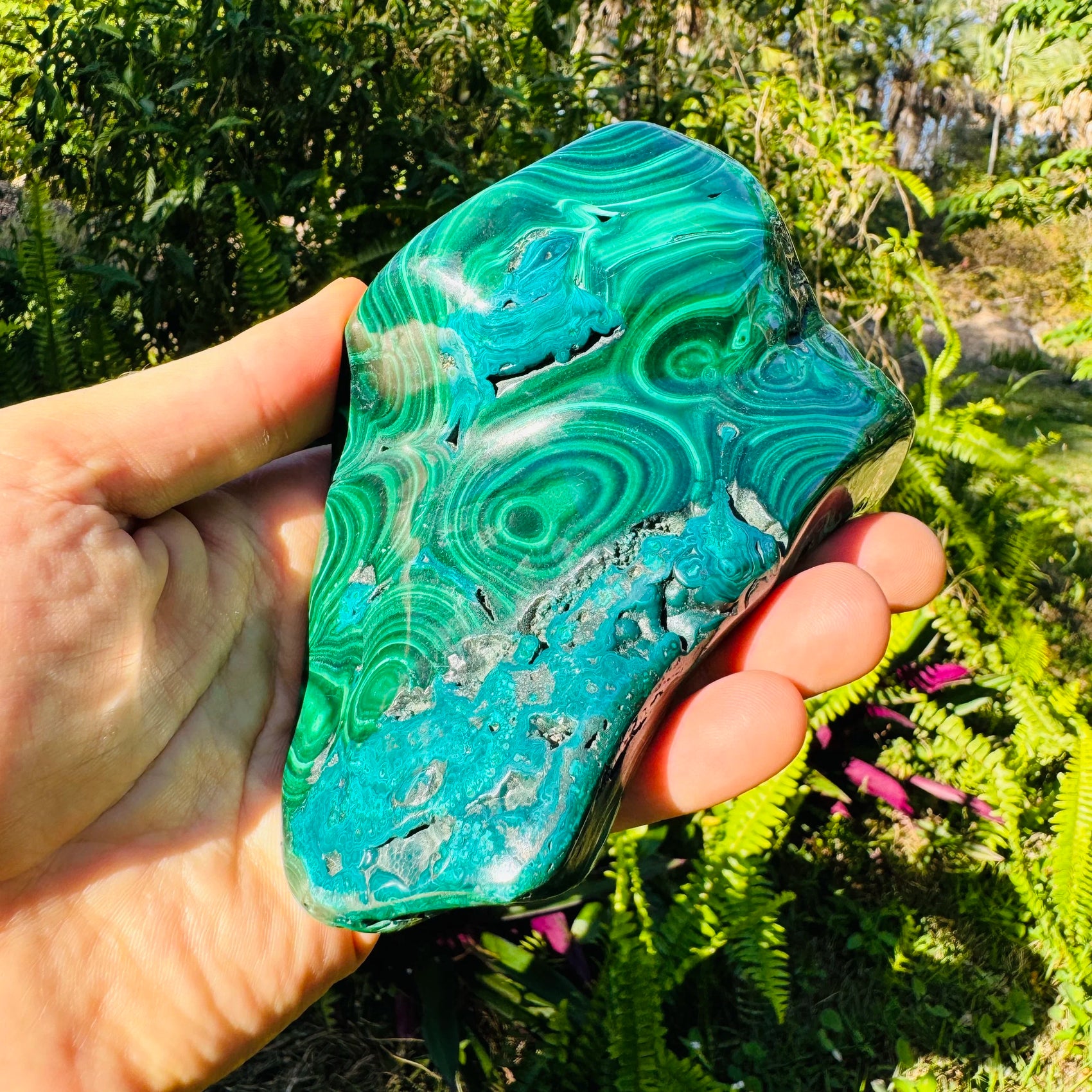 Macro view of Malachite specimen, Democratic Republic of the Congo-sourced, showing characteristic color.