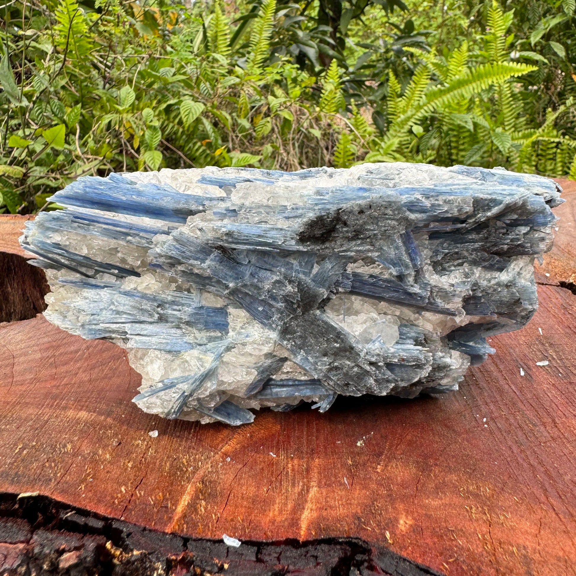 Full profile of Grade AA Blue Kyanite cluster ready to ship from Beyond Bohemian