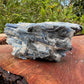 Back view of Grade AA Blue Kyanite cluster showing natural surface