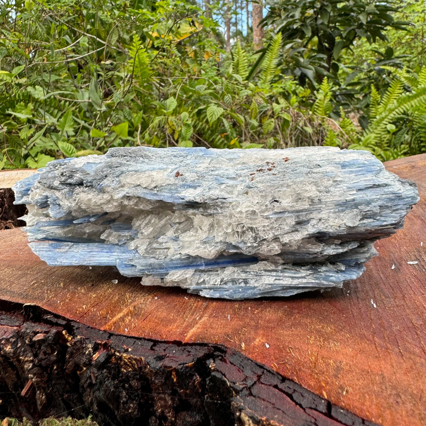 Detail shot of Grade AA Blue Kyanite cluster under natural light