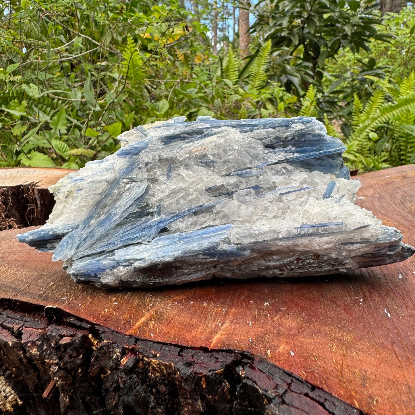 Lifestyle context of Blue Kyanite specimen, with form visible in context.