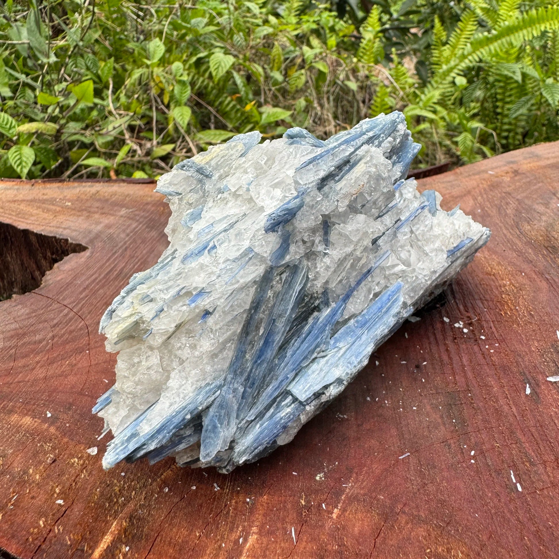 Hand-scale shot of a Blue Kyanite specimen, from Minas Gerais, Brazil.
