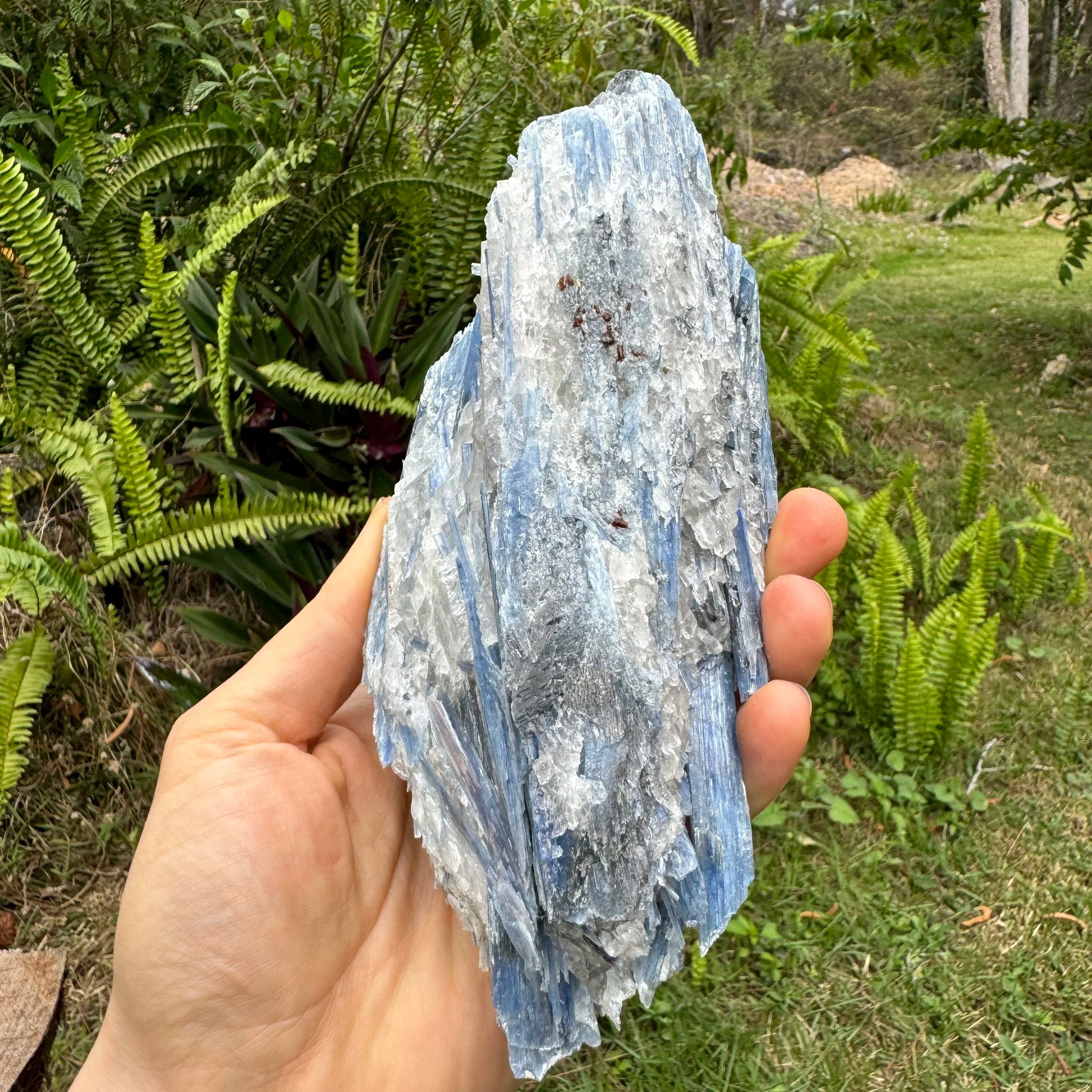 Underside detail of Grade AA Blue Kyanite specimen, showing characteristic patterning.