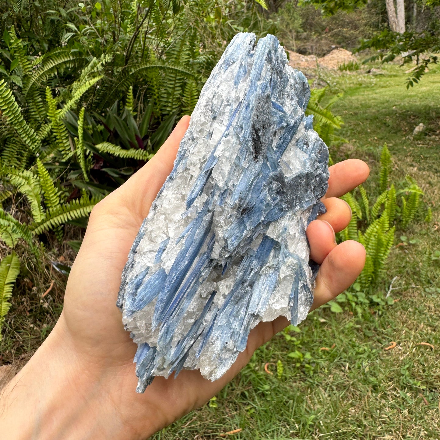 Edge view of Blue Kyanite specimen, associated with Confidence, sourced from Brazil.