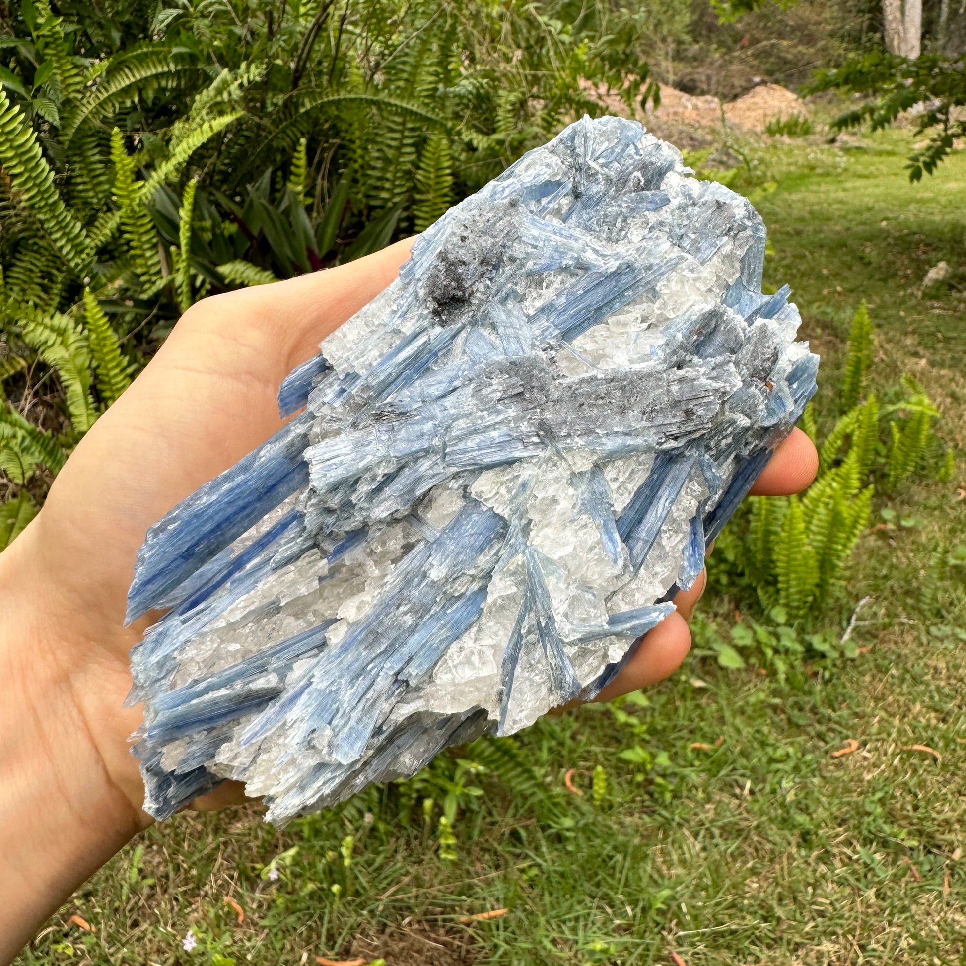 Bird's-eye view of Grade AA Blue Kyanite specimen, hand-selected from Minas Gerais, Brazil, carried for Confidence.