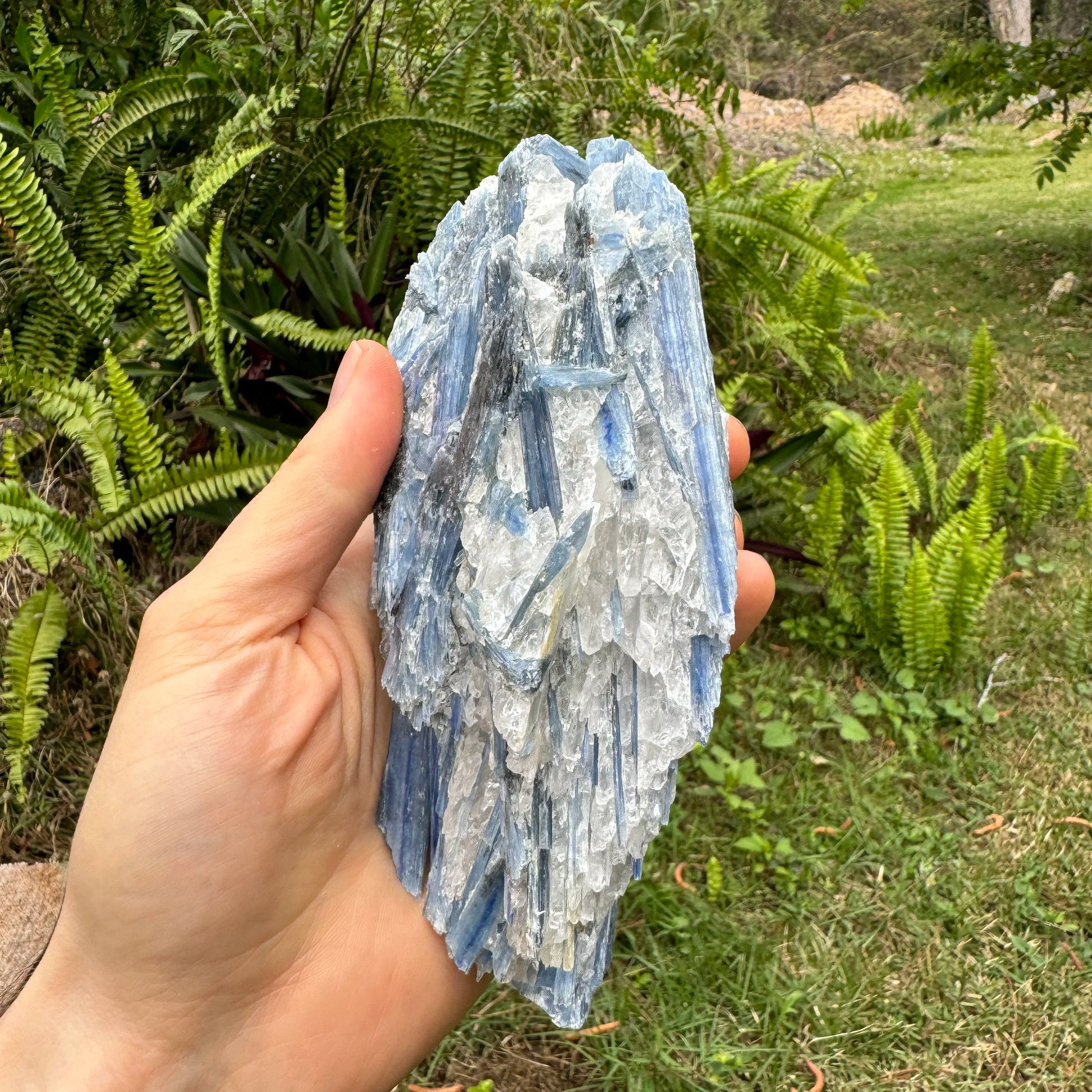 Magnified detail of Blue Kyanite specimen, showing characteristic color.