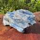 Daylight detail of Blue Kyanite specimen, from Minas Gerais, Brazil, shown for size reference.