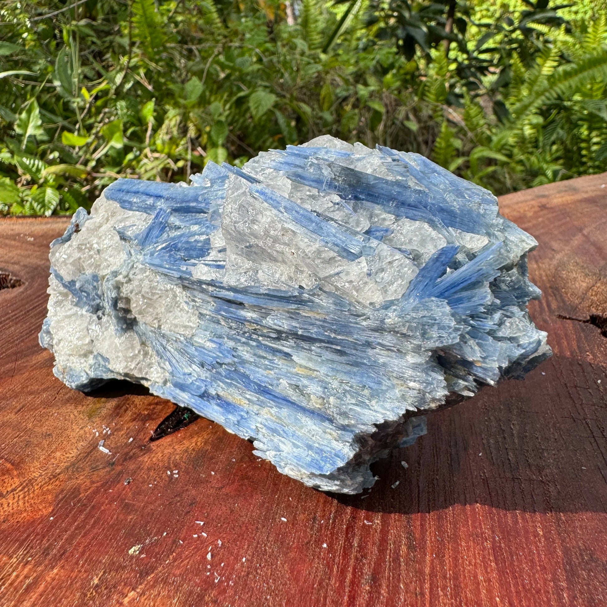 Daylight detail of Blue Kyanite specimen, from Minas Gerais, Brazil, shown for size reference.