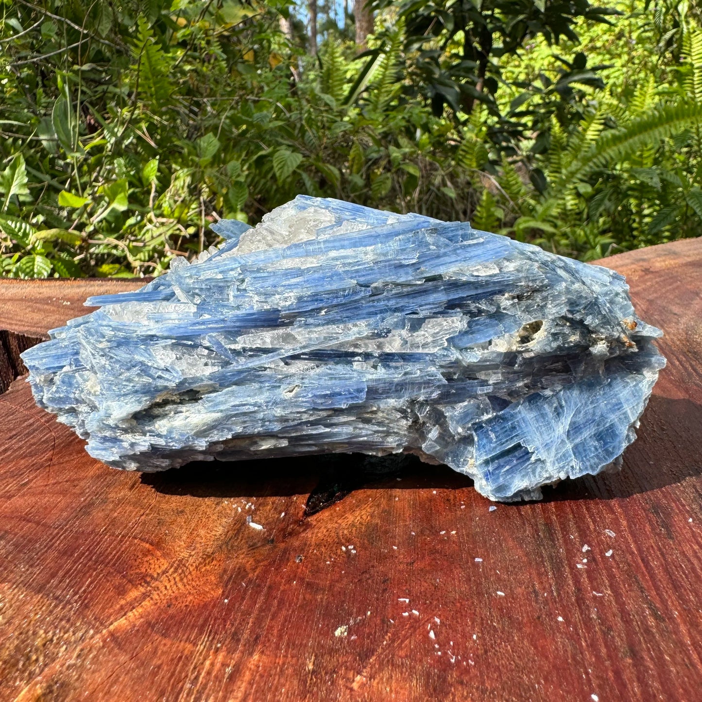 Back view of Grade AA Blue Kyanite cluster showing natural surface