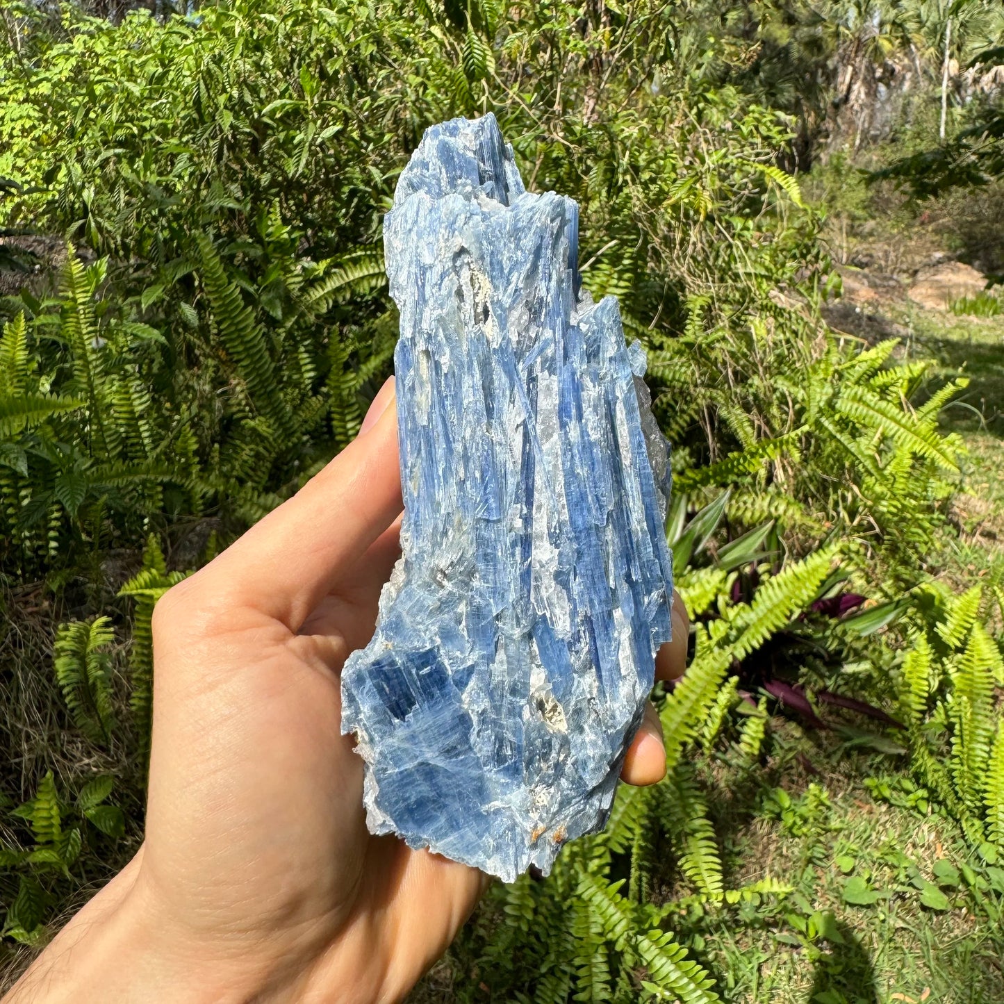 Up-close view of Blue Kyanite specimen, kept close for Confidence and Meditation, hand-selected from Minas Gerais, Brazil.