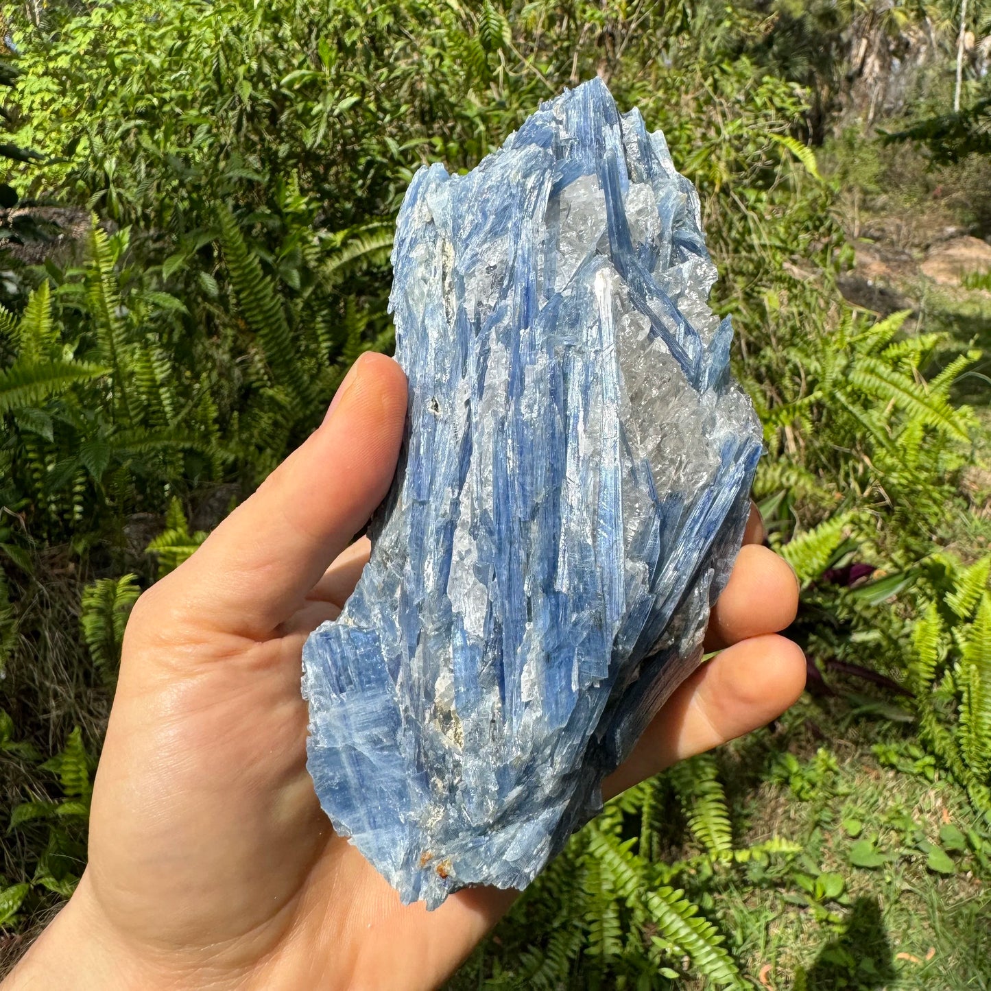 Alternate angle of Blue Kyanite specimen, showing natural banding.