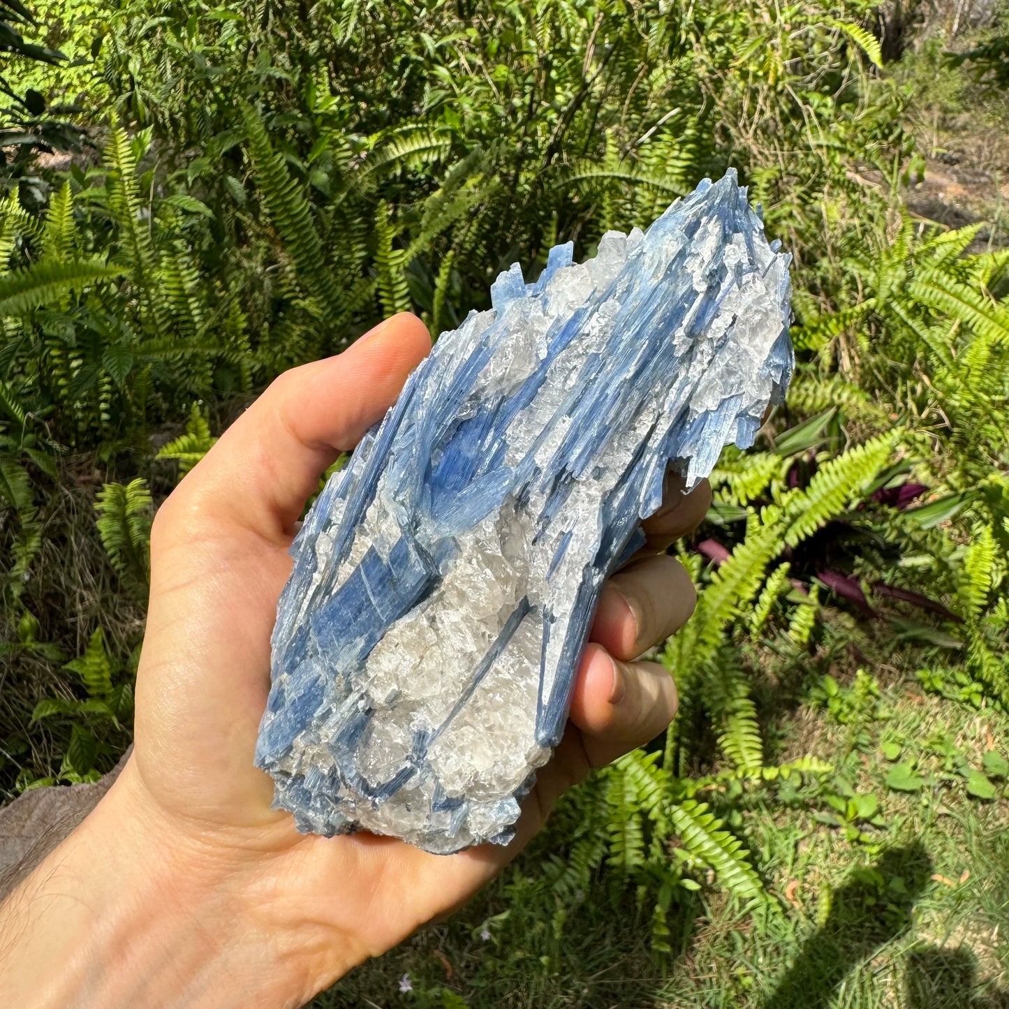 Top angle of Grade AA Blue Kyanite specimen, worked with for Confidence, sourced from Minas Gerais, Brazil.
