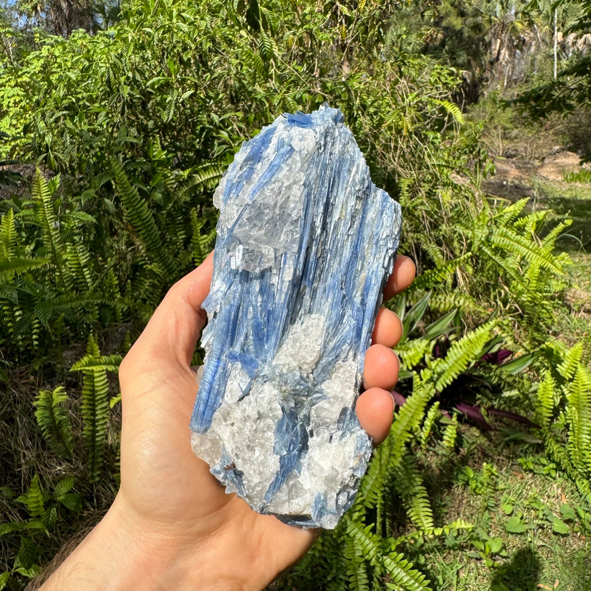 Edge view of Blue Kyanite specimen, turned to for Confidence and Meditation.