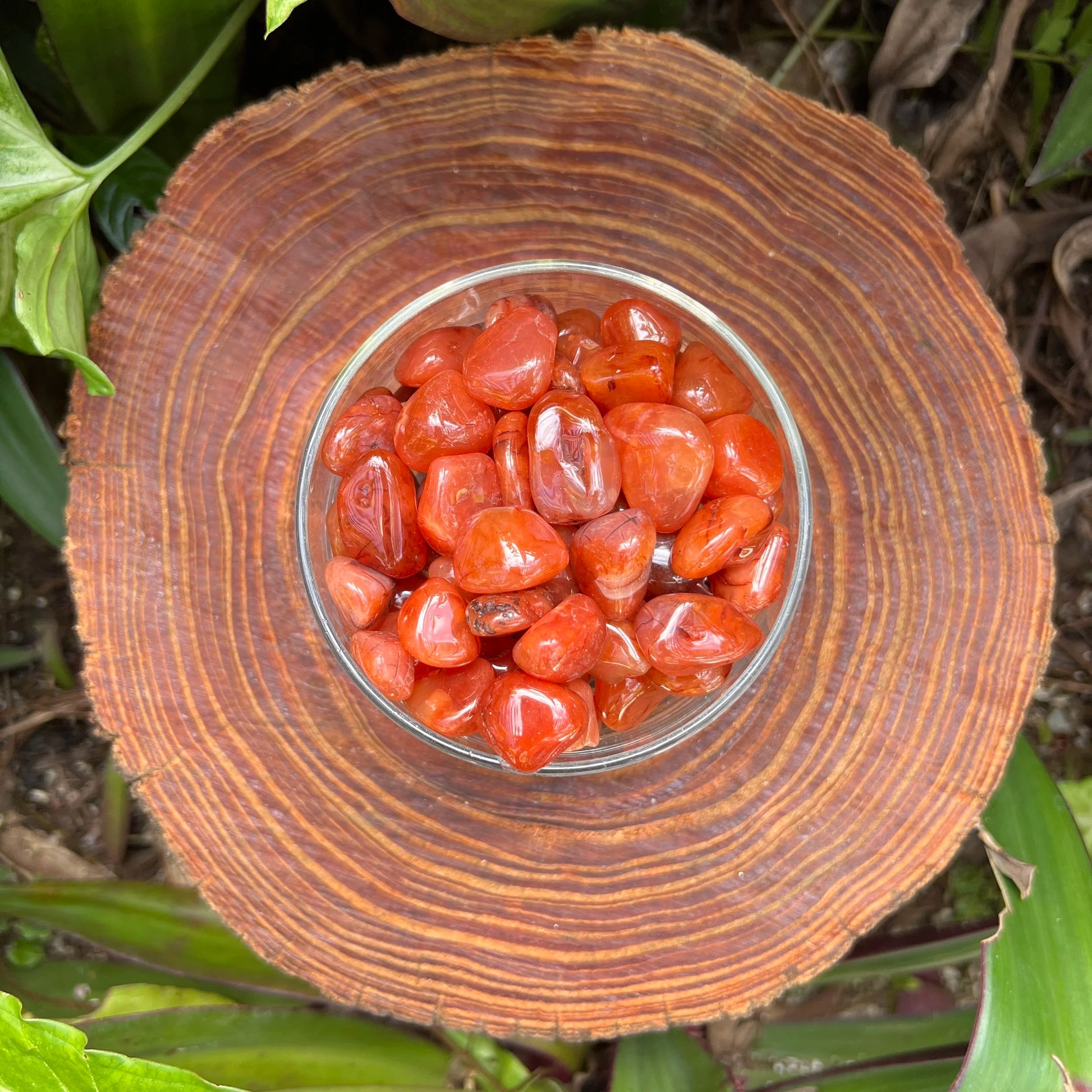 Ethically sourced Grade AA Carnelian tumbled stone from Paraná, Brazil at Beyond Bohemian