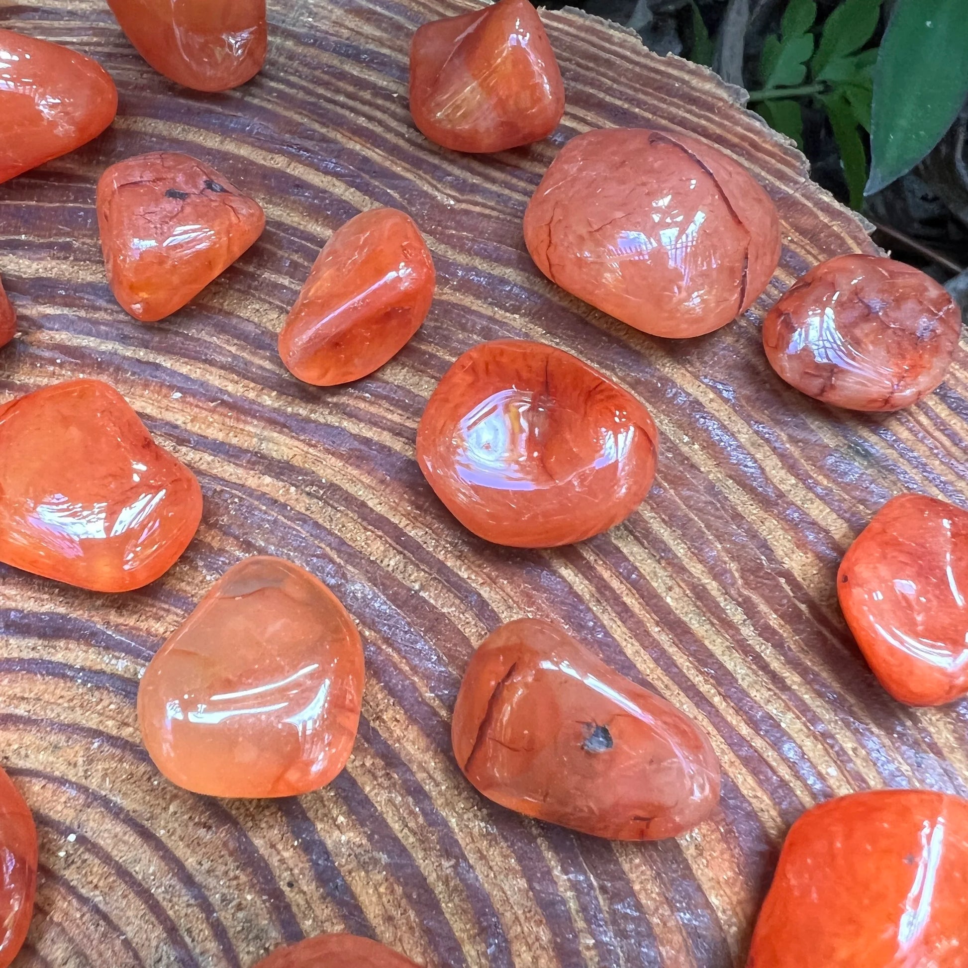 Full profile of Grade AA Carnelian tumbled stone ready to ship from Beyond Bohemian