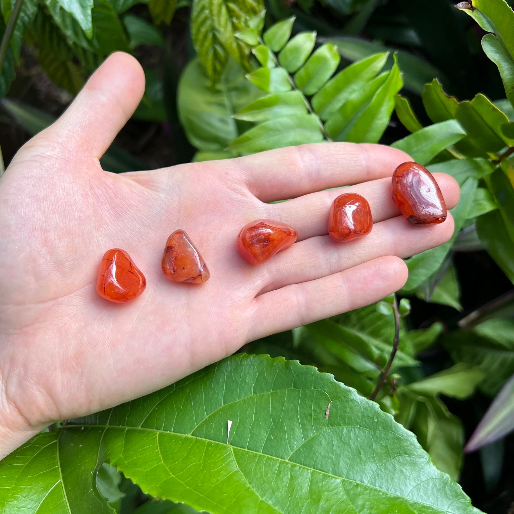 Close-up of Carnelian tumbled stone from Brazil, soothing wellness stone for Confidence