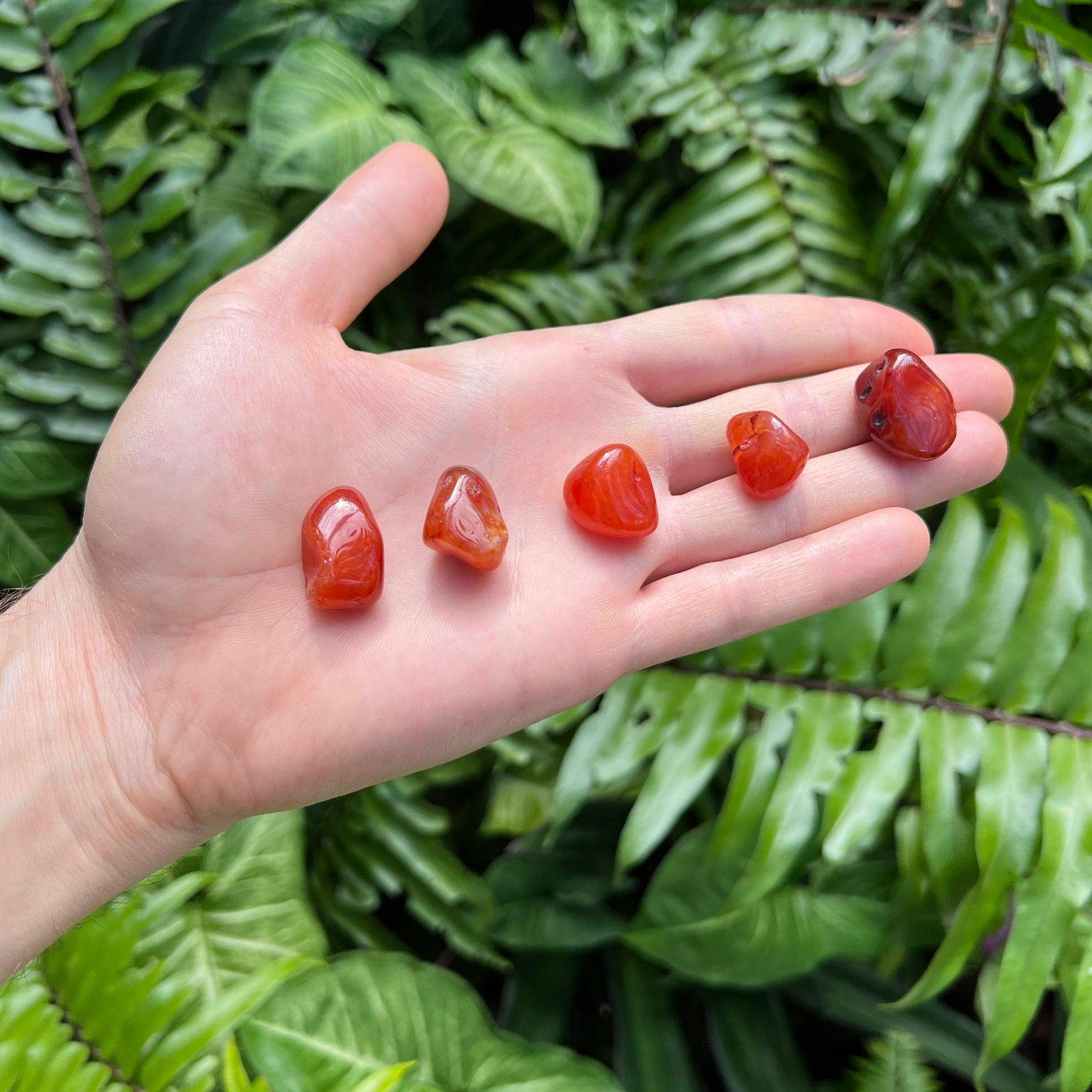 Alternate angle of Grade AA Carnelian tumbled stone showing overall shape