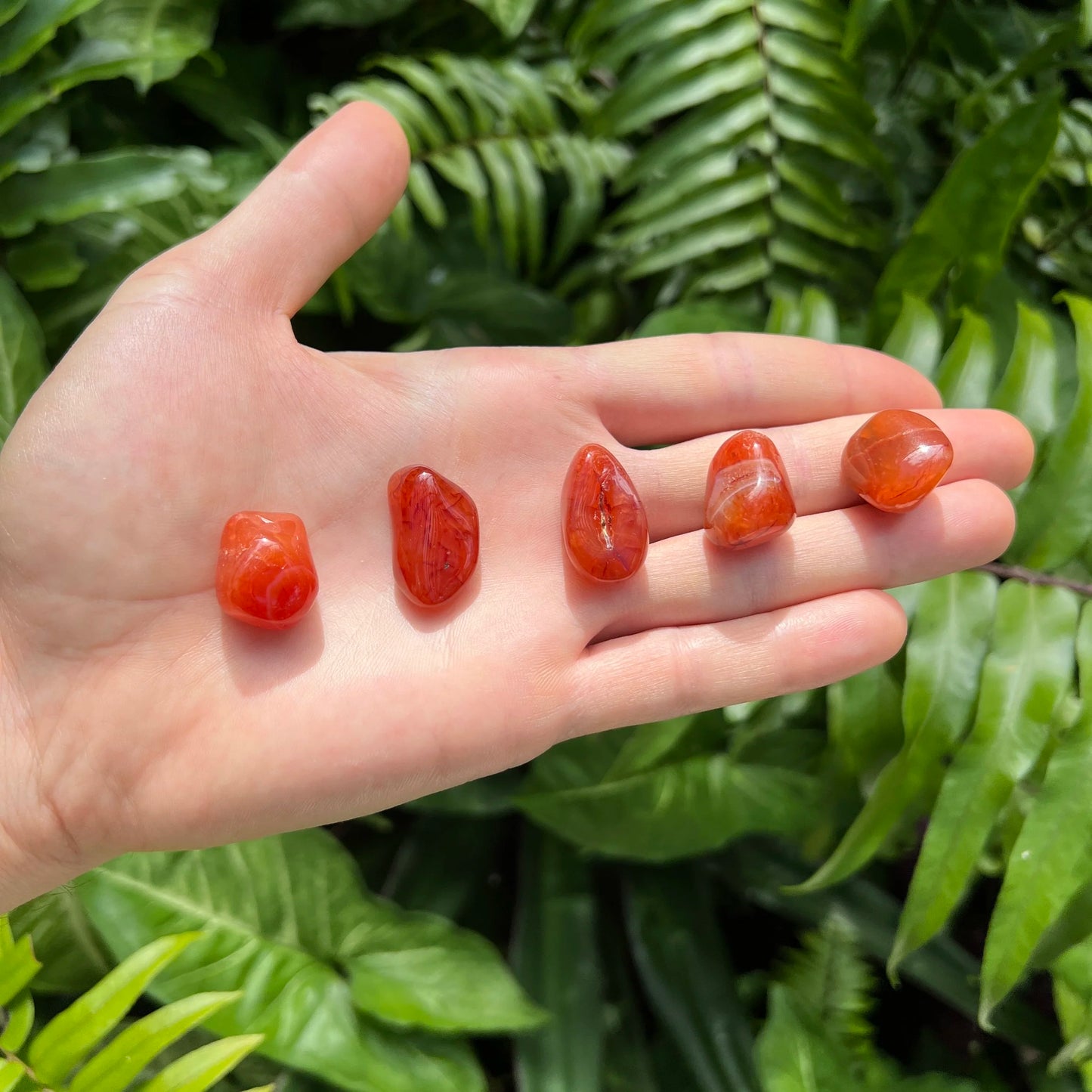 Grade aa carnelian tumbled stone held in hand for size reference