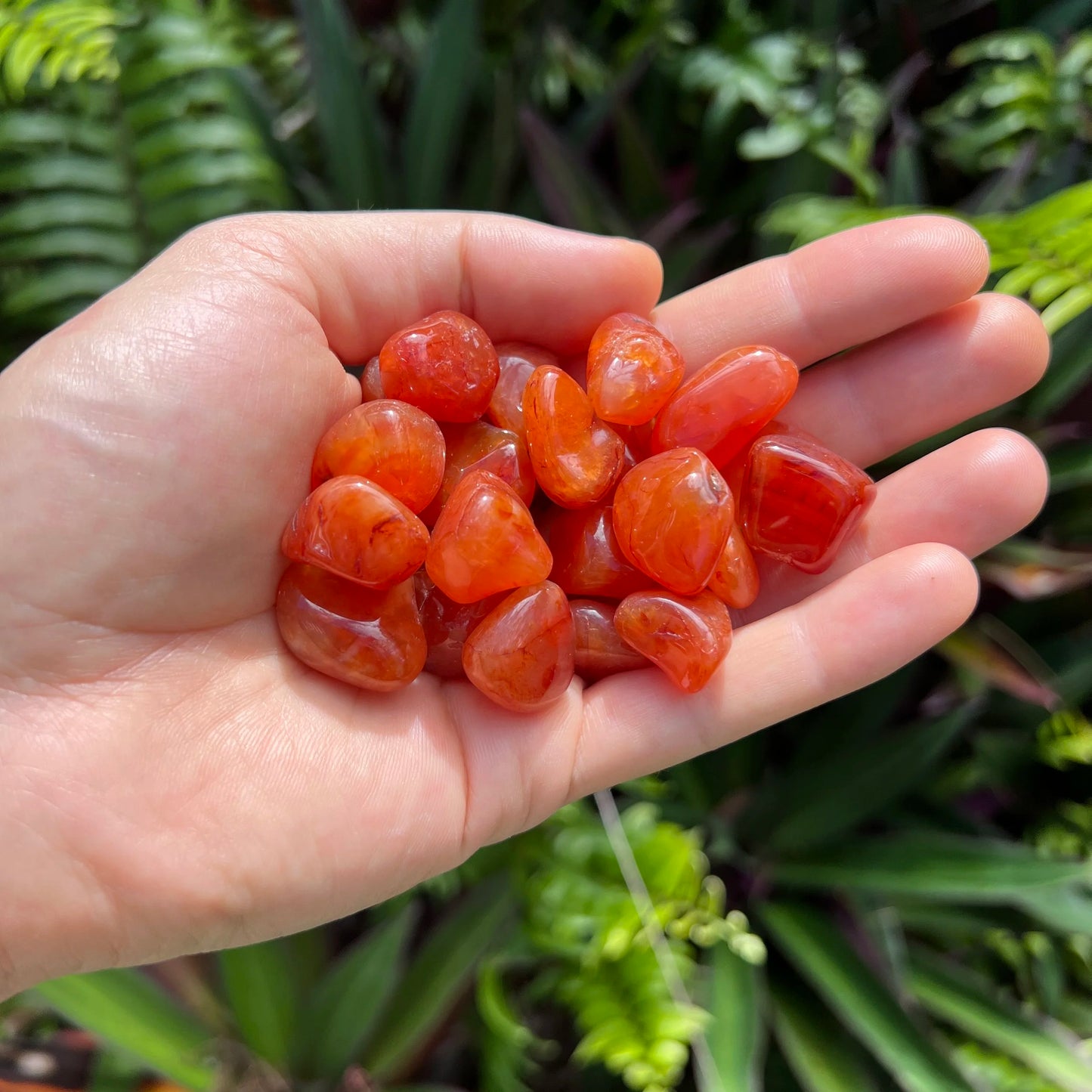 Detail shot of Grade AA Carnelian tumbled stone under natural light