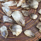 Bird's-eye view of Grade AA Smoky Quartz raw point, showing natural color depth, hand-selected from Chivhu, Zimbabwe.