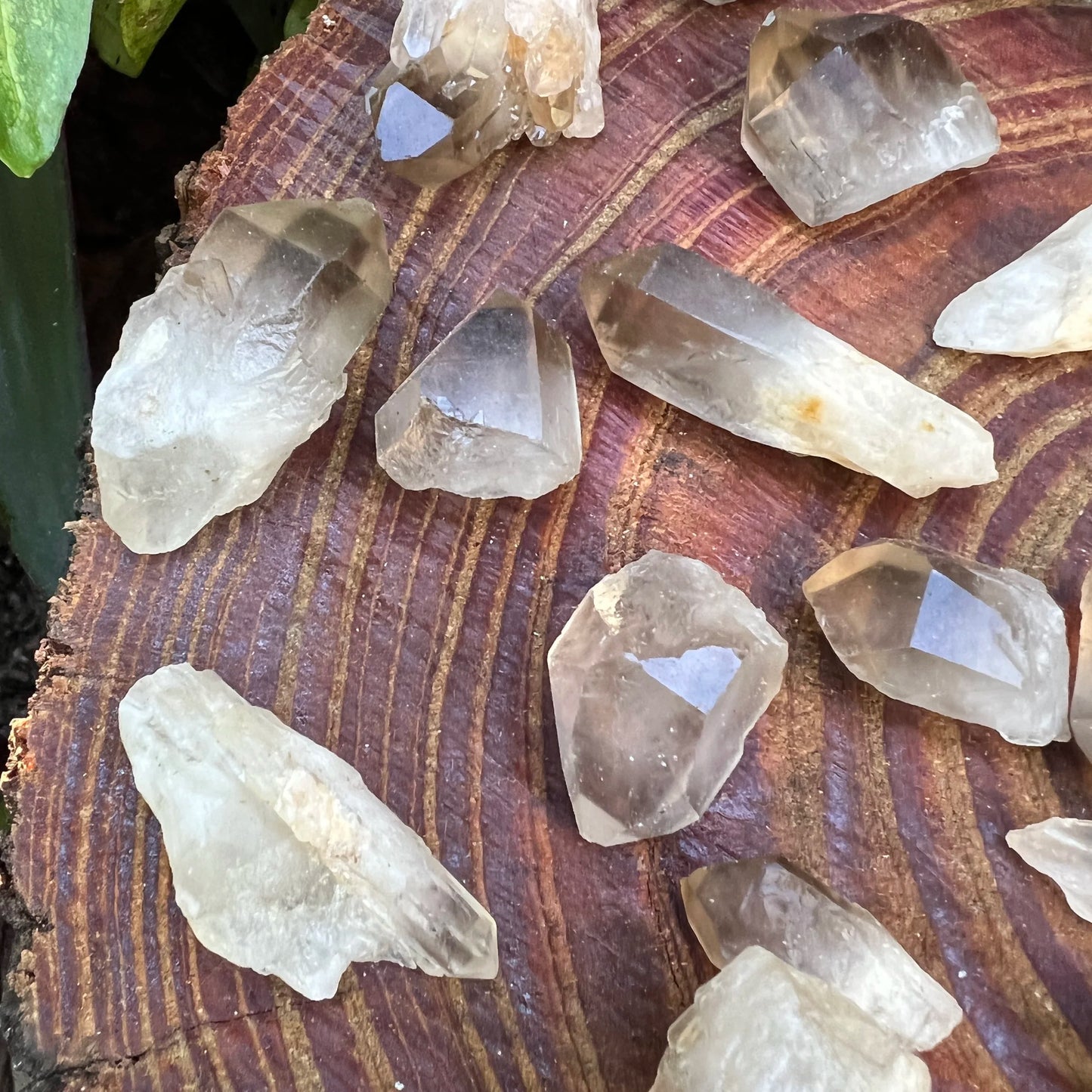 Opposite side of Smoky Quartz raw point, linked to Grounding, showing tight grain.