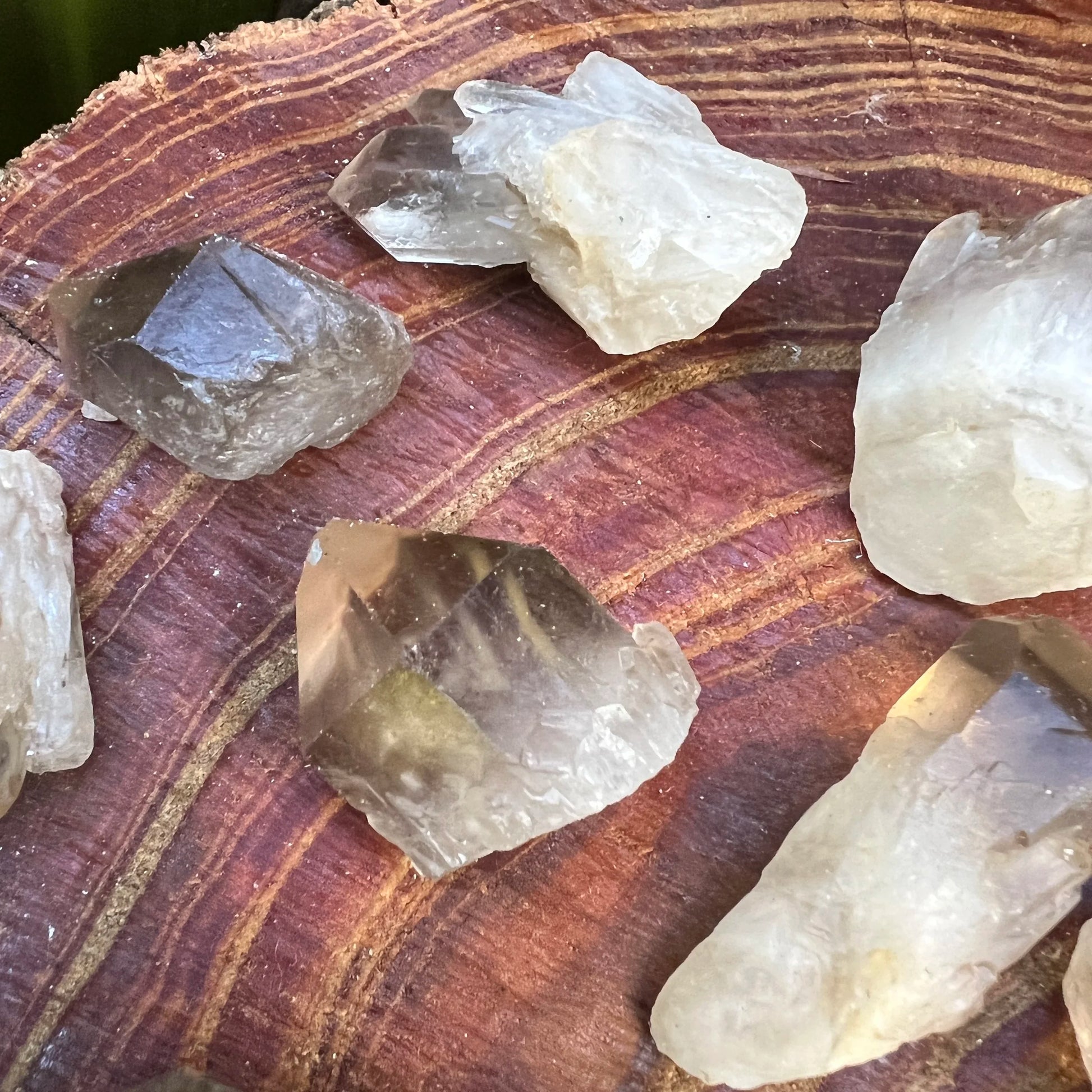 Palm-scale view of a Smoky Quartz raw point held against natural backdrop, hand-selected from Chivhu, Zimbabwe.