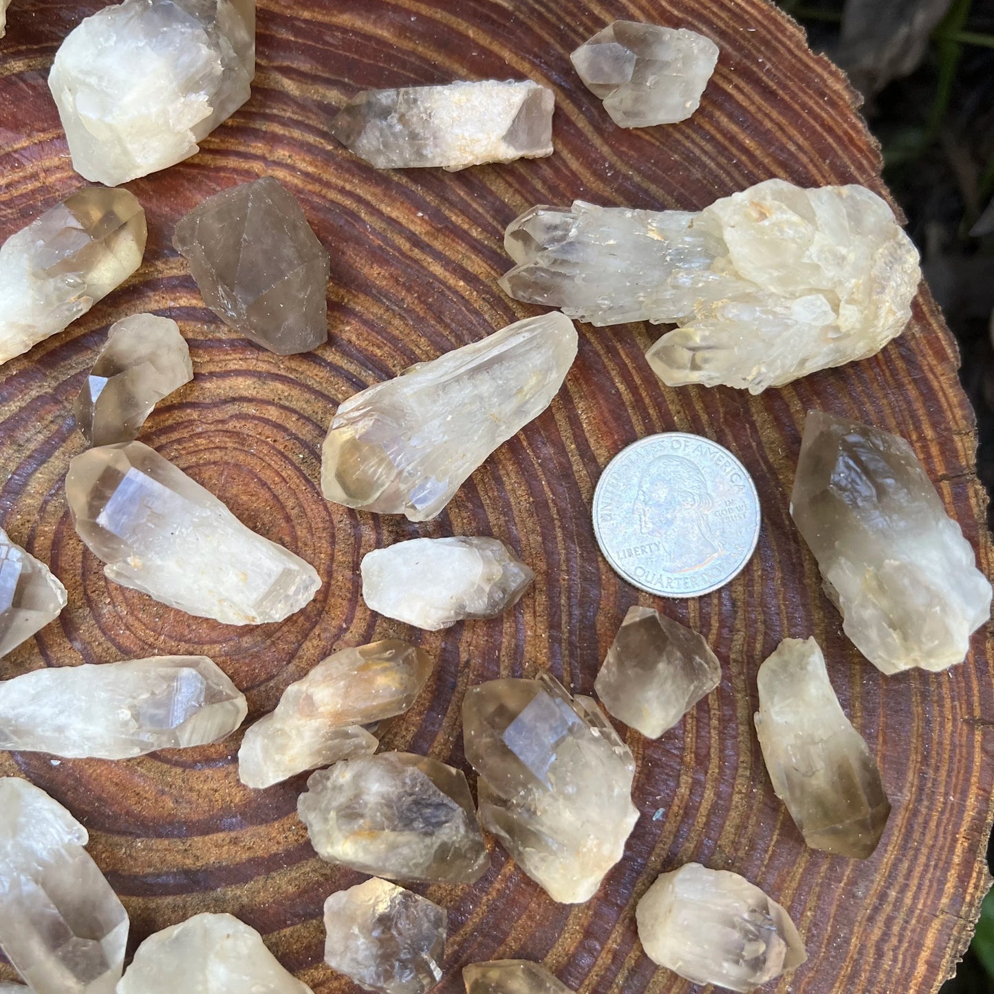Back view of Grade AA Smoky Quartz point showing natural surface