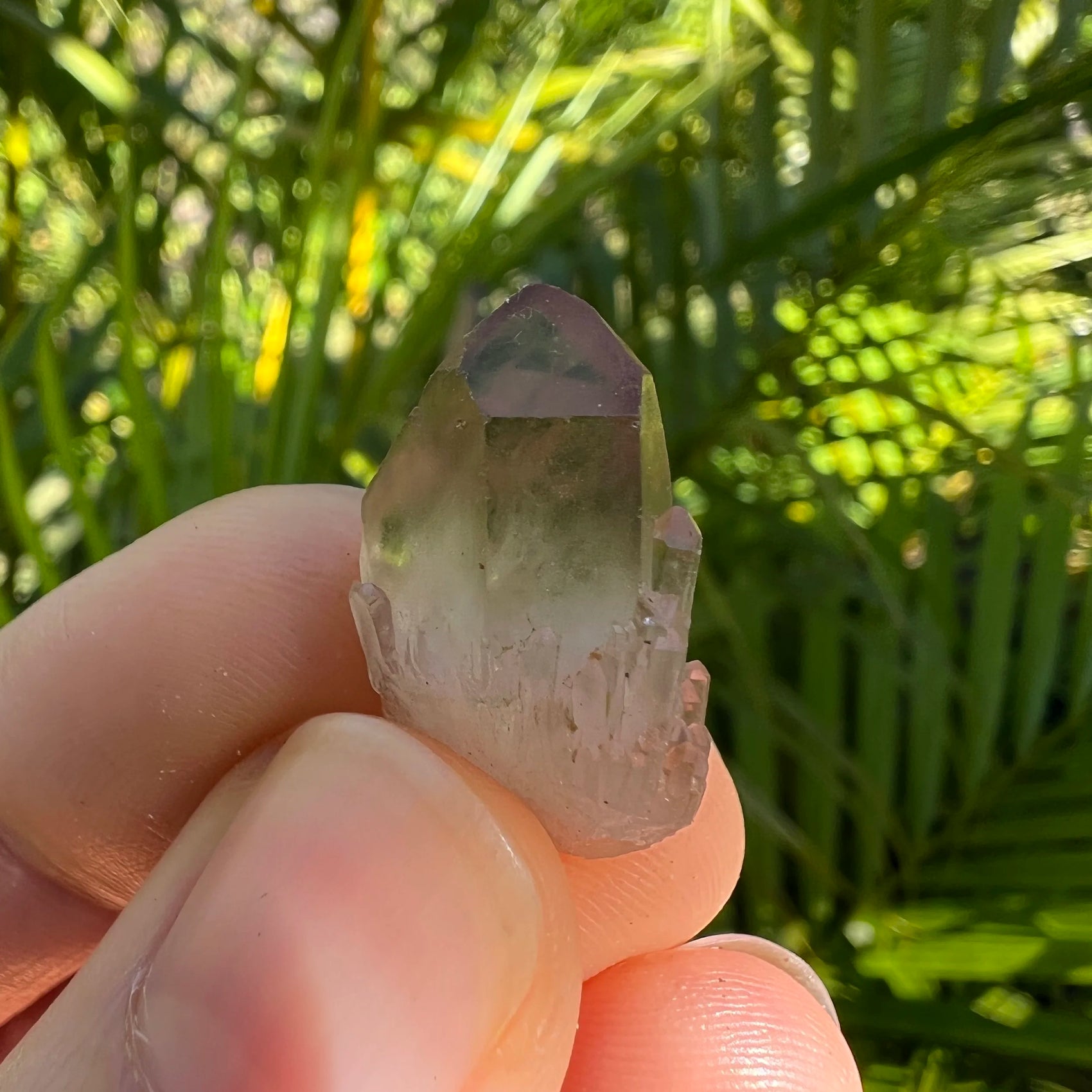 Full profile of Grade AA Smoky Quartz point ready to ship from Beyond Bohemian