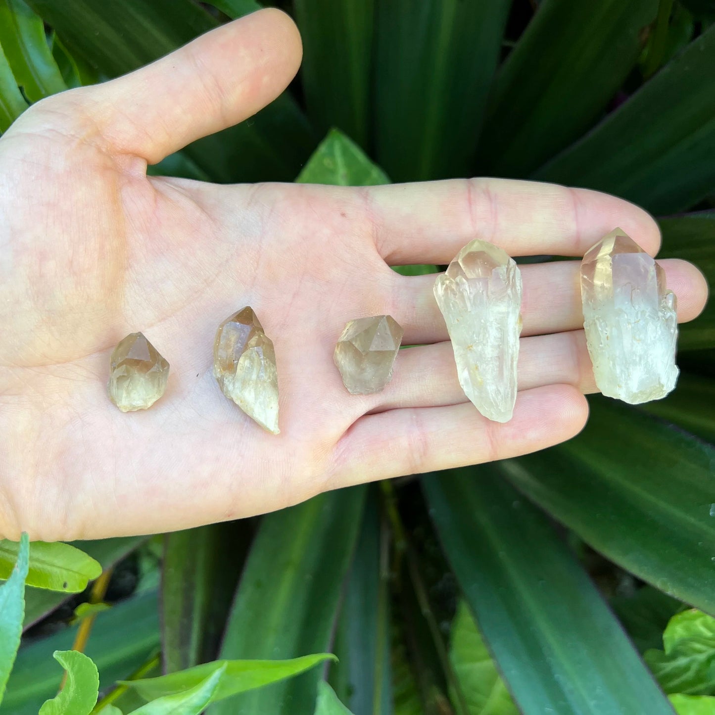 Full profile of Grade AA Smoky Quartz point ready to ship from Beyond Bohemian