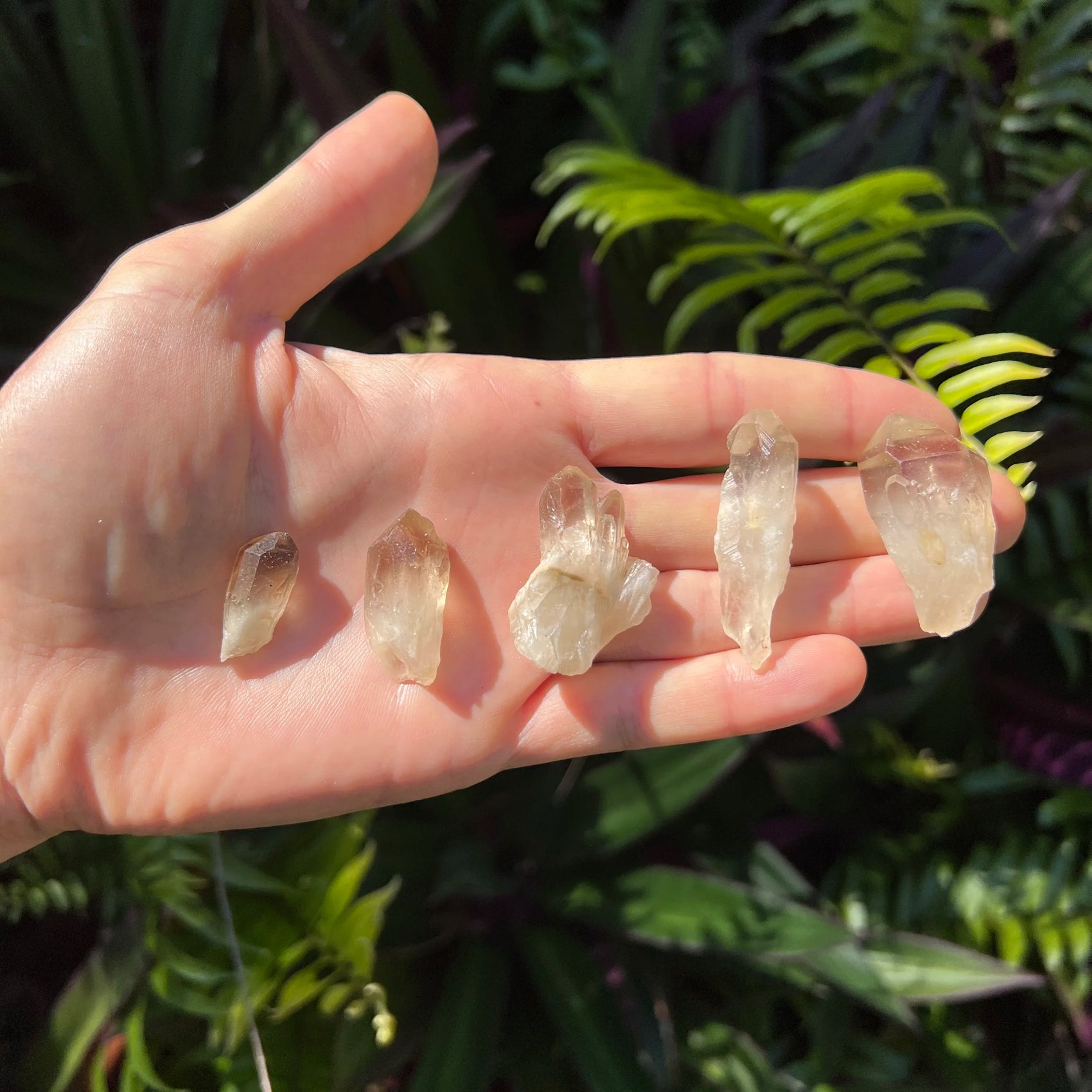 Full profile of Grade AA Smoky Quartz point ready to ship from Beyond Bohemian