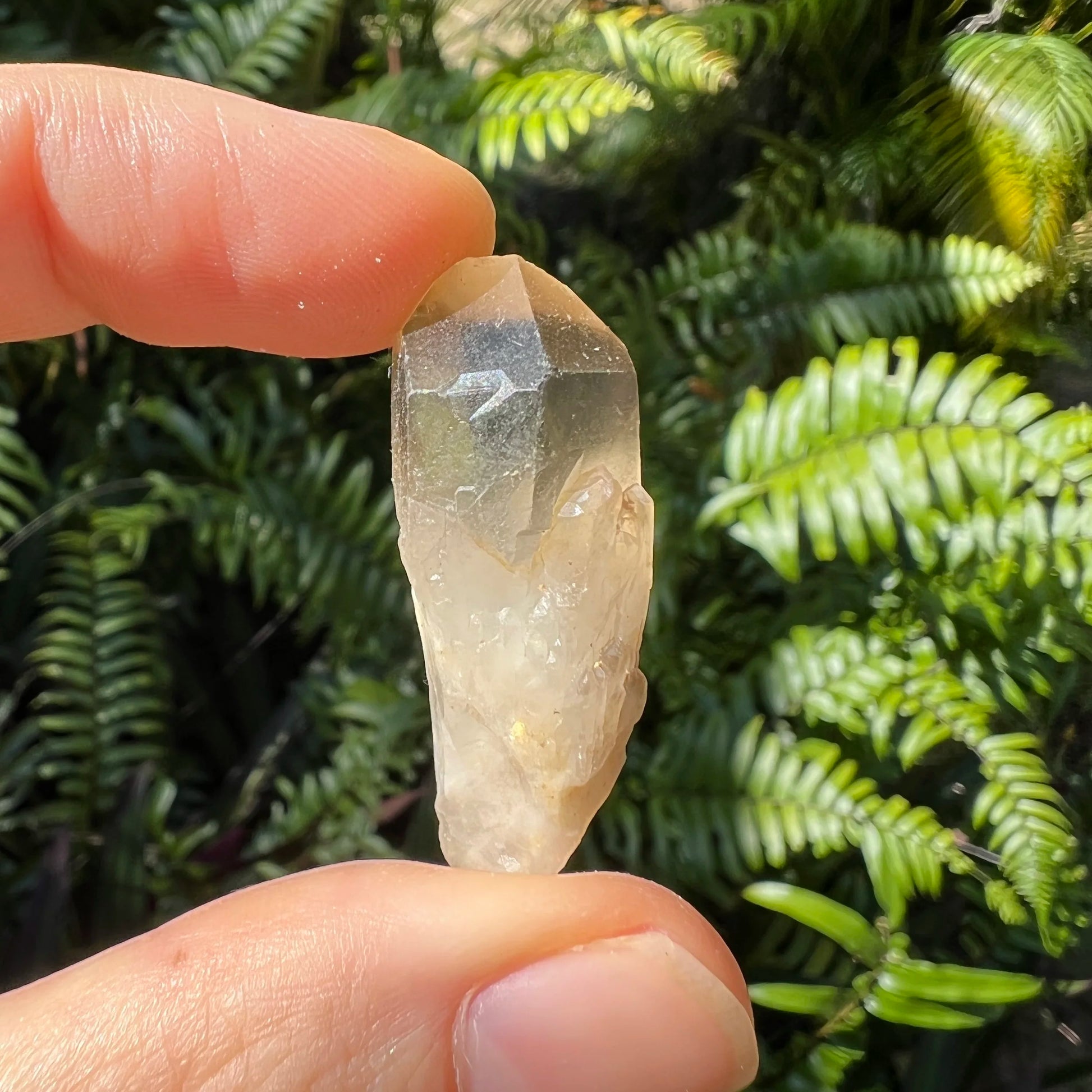 Full profile of Grade AA Smoky Quartz point ready to ship from Beyond Bohemian