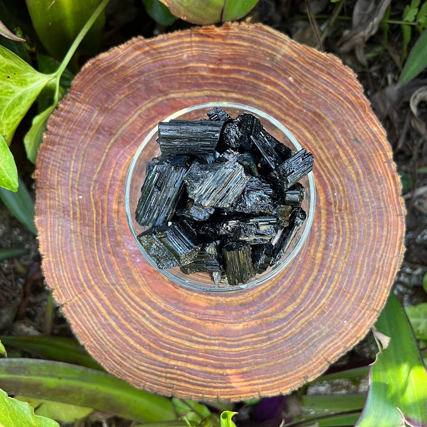 Full profile of Grade AA Black Tourmaline raw ready to ship from Beyond Bohemian