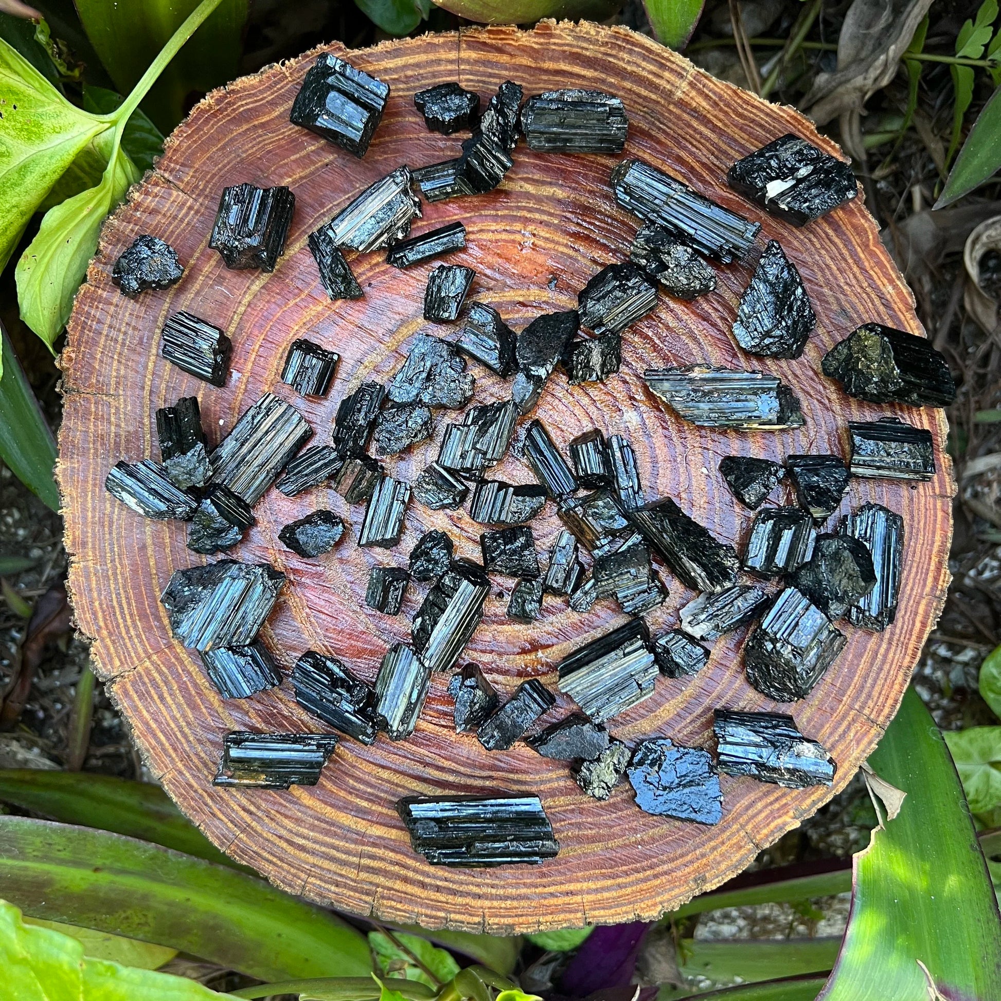 Full profile of Grade AA Black Tourmaline raw ready to ship from Beyond Bohemian