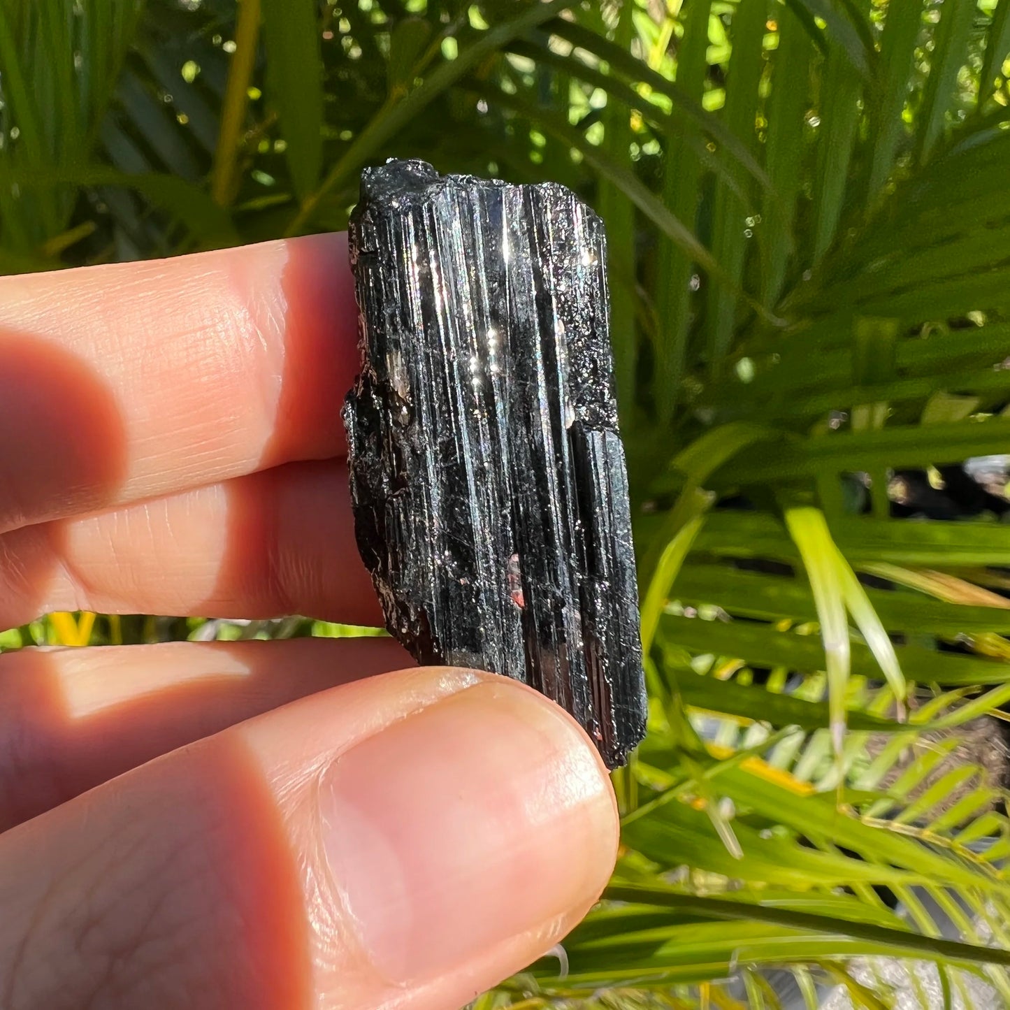 Full profile of Grade AA Black Tourmaline raw ready to ship from Beyond Bohemian
