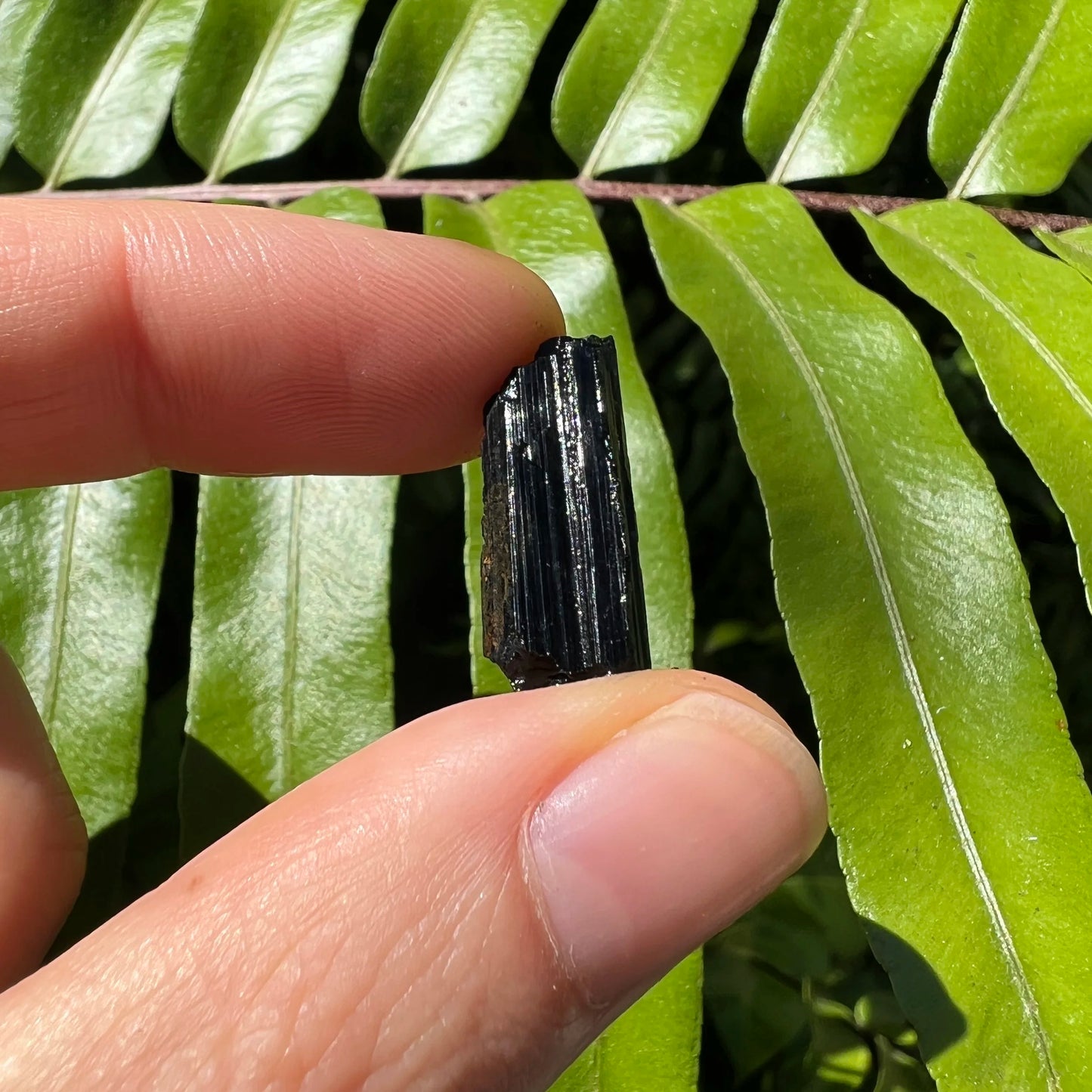 Full profile of Grade AA Black Tourmaline raw ready to ship from Beyond Bohemian