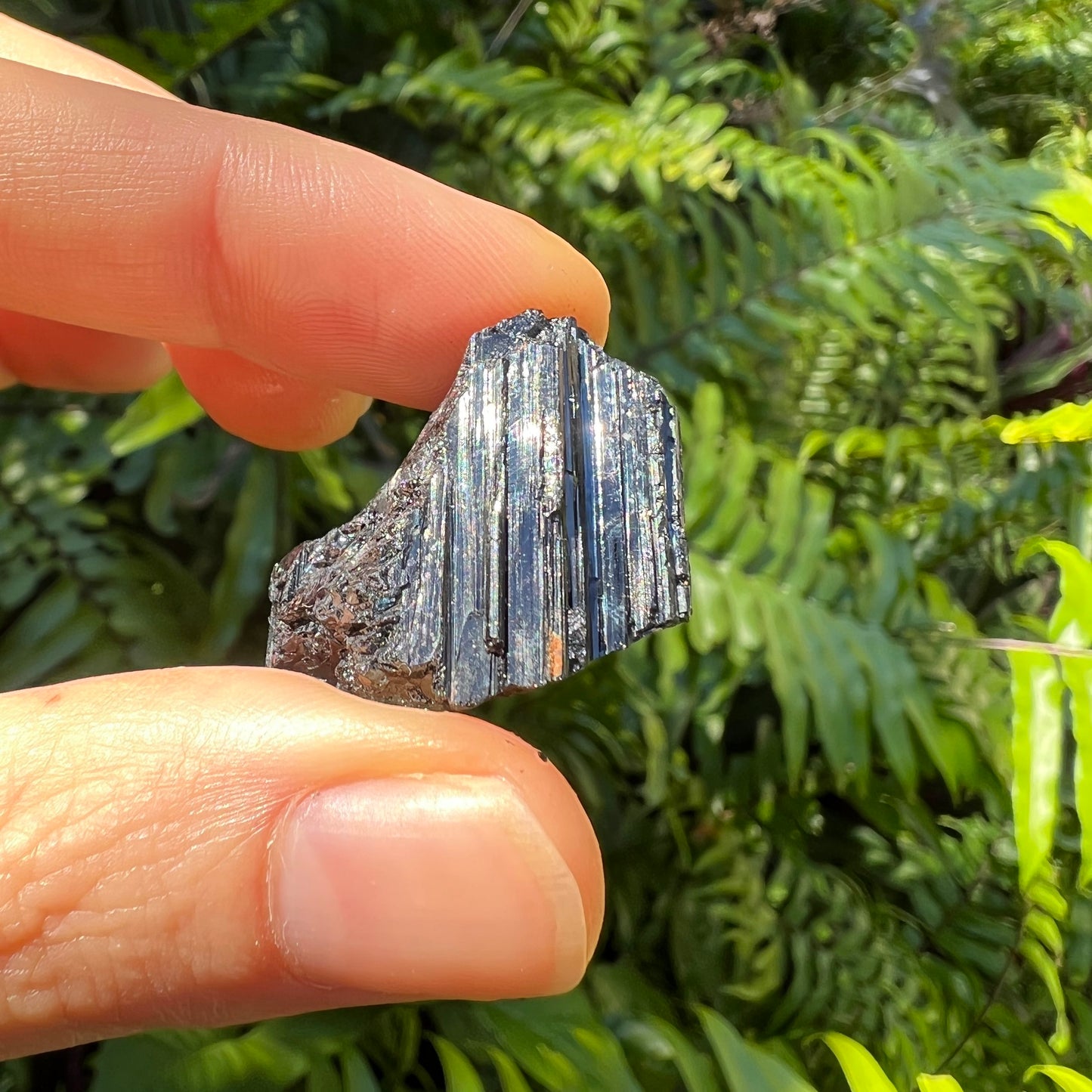 Full profile of Grade AA Black Tourmaline raw ready to ship from Beyond Bohemian