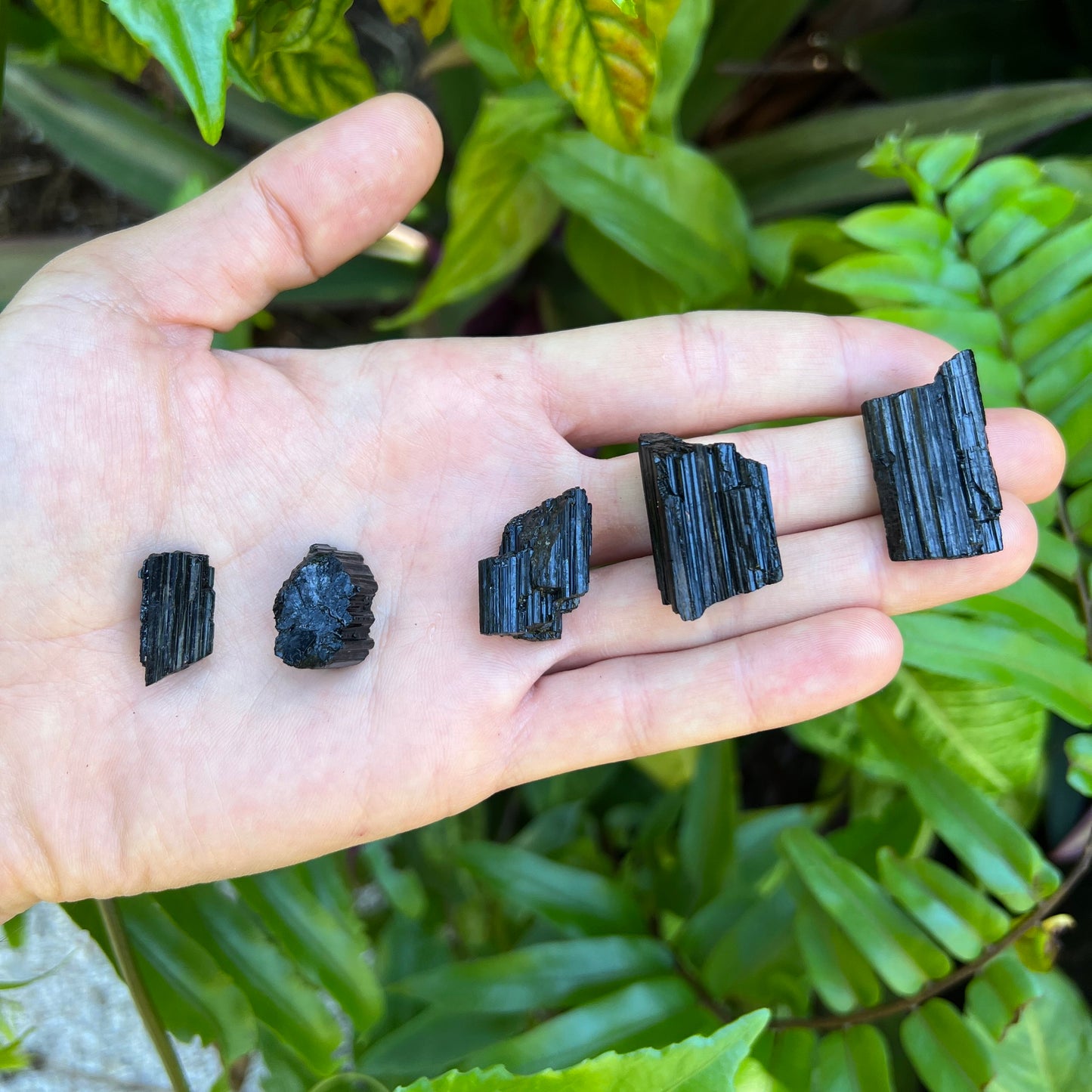 Full profile of Grade AA Black Tourmaline raw ready to ship from Beyond Bohemian