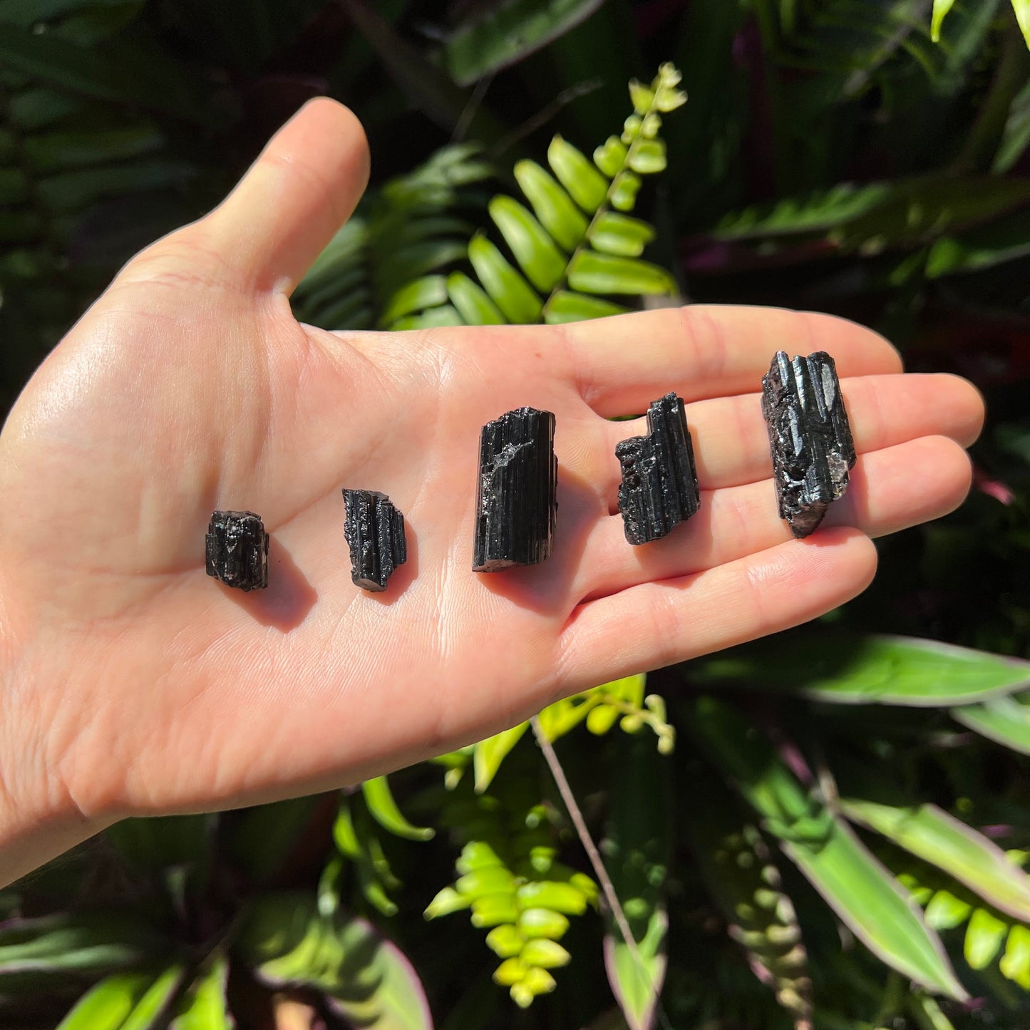 Full profile of Grade AA Black Tourmaline raw ready to ship from Beyond Bohemian