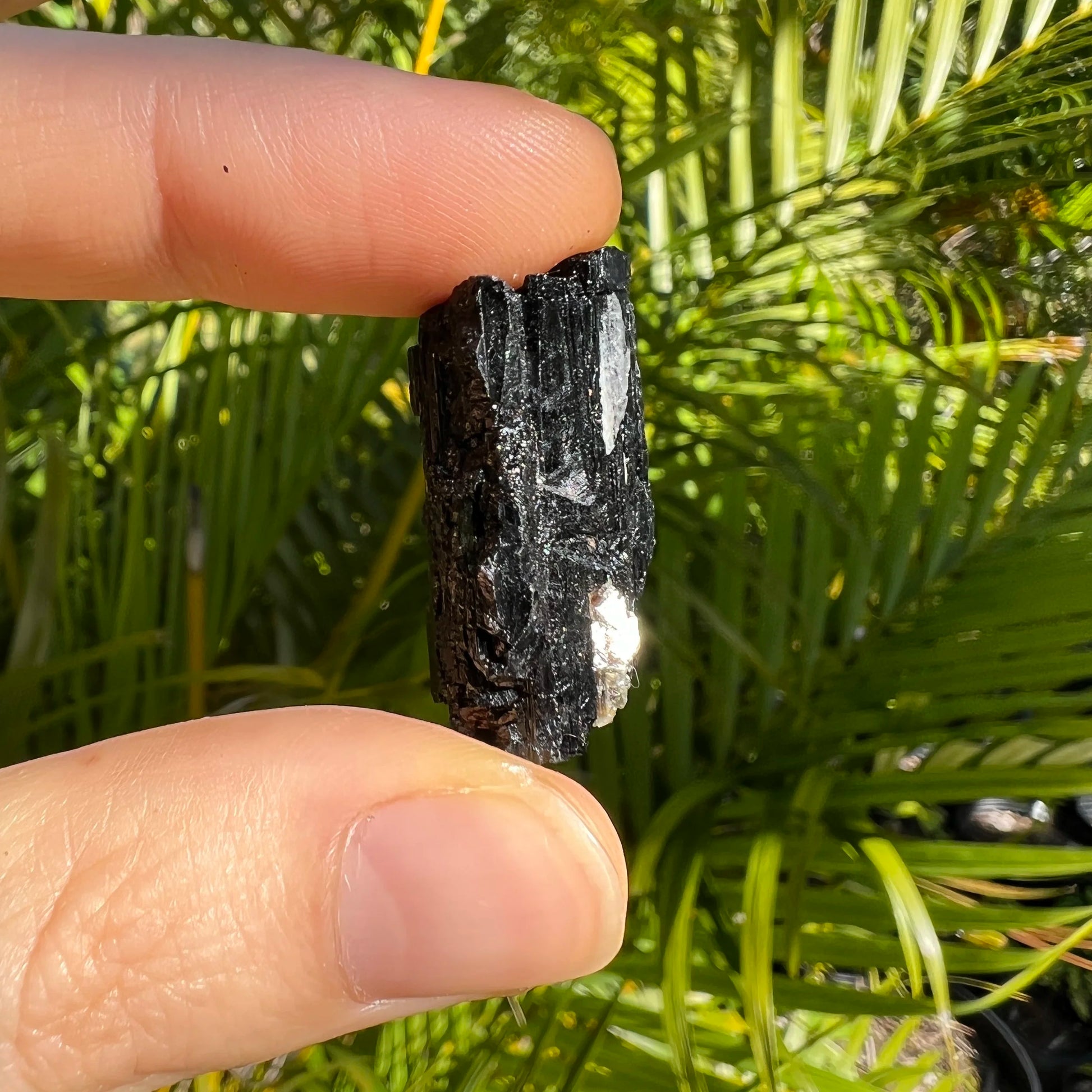 Full profile of Grade AA Black Tourmaline raw ready to ship from Beyond Bohemian